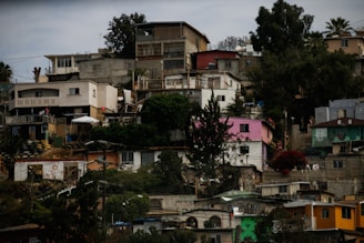 A dense hillside neighborhood with a variety of colorful and modestly constructed houses. The structures are closely packed together, with a mix of concrete and wooden materials. Vegetation, including trees and shrubs, is interspersed throughout the area, and power lines are visible.