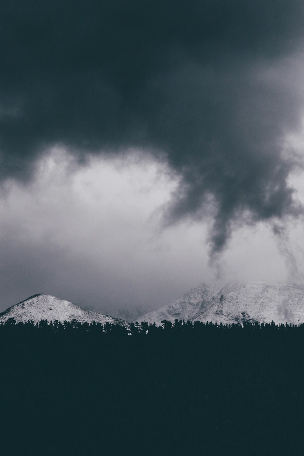 silhouette of trees near snow capped mountains