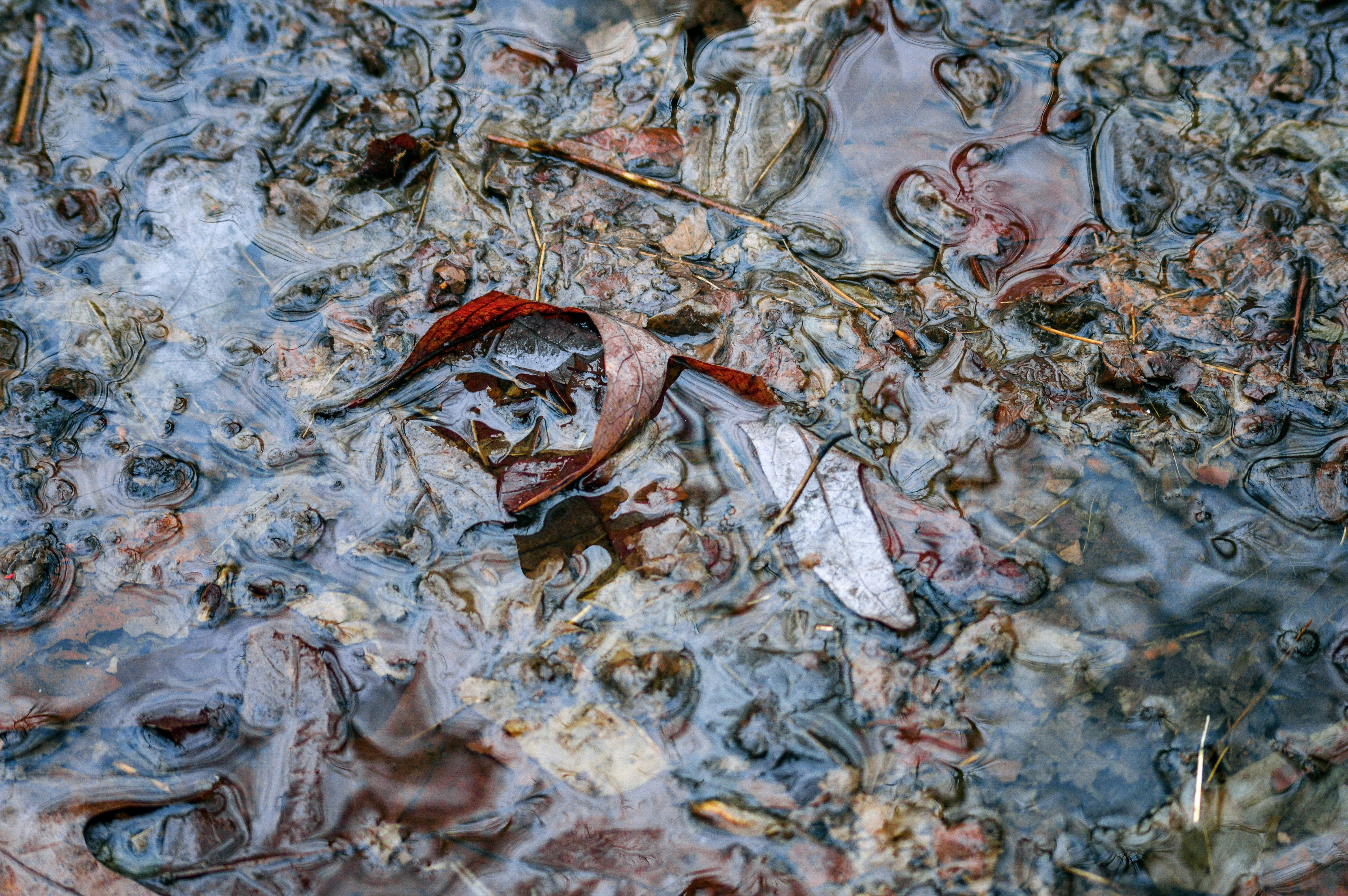 Free Unsplash photo from Tom Farina