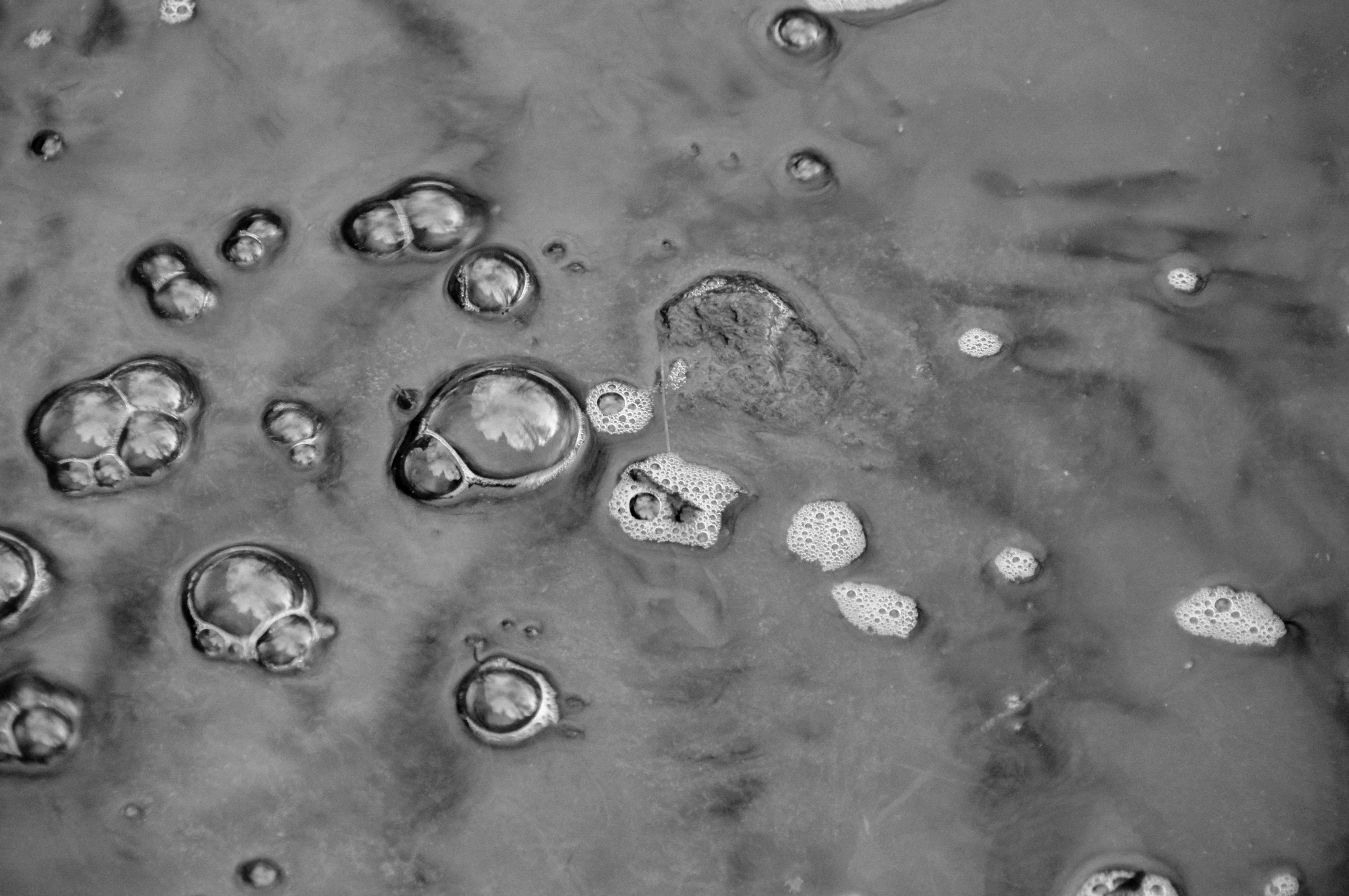 Free Unsplash photo from Tom Farina