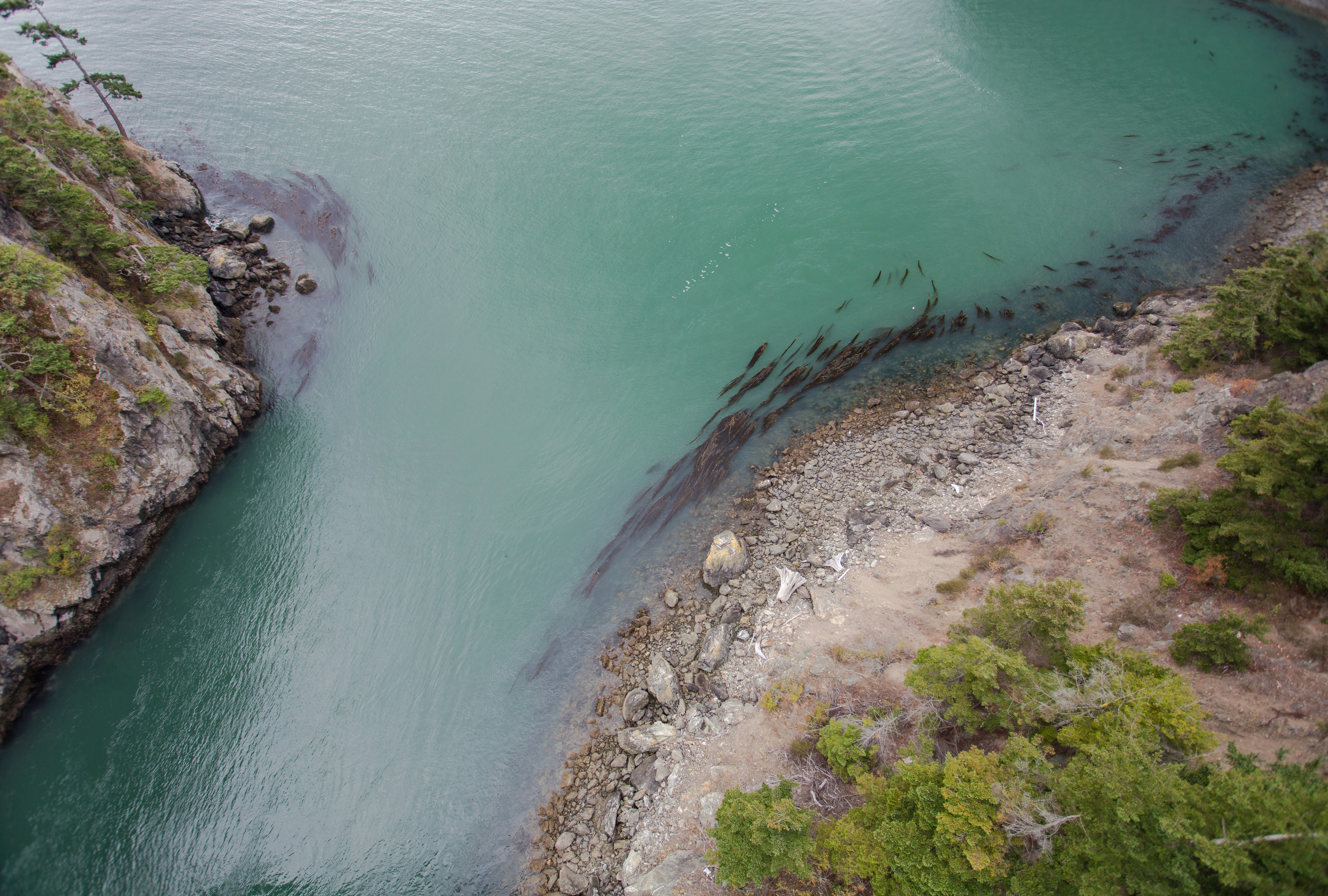 Free Unsplash photo from Melissa Regina