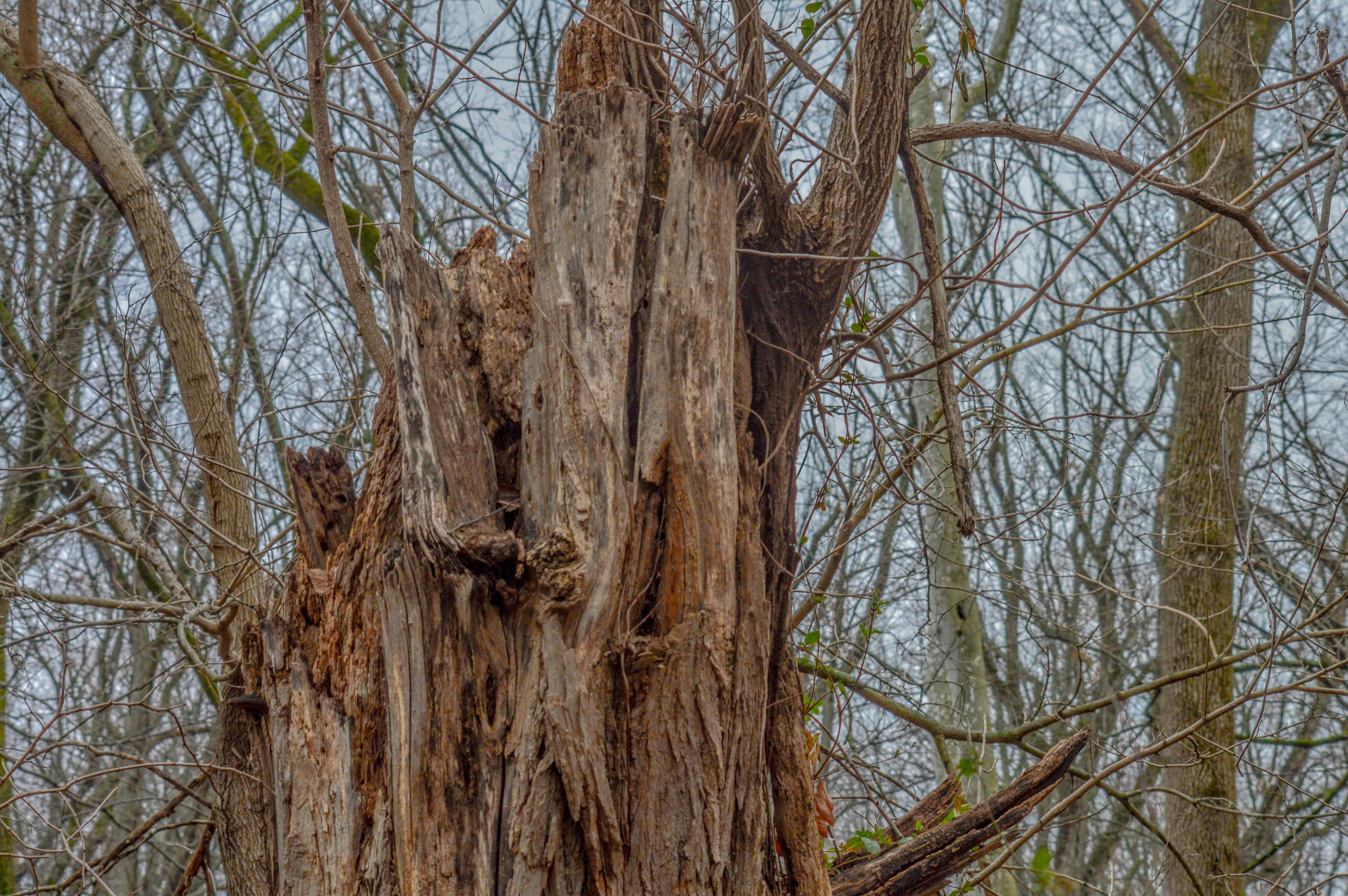 Free Unsplash photo from Tom Farina