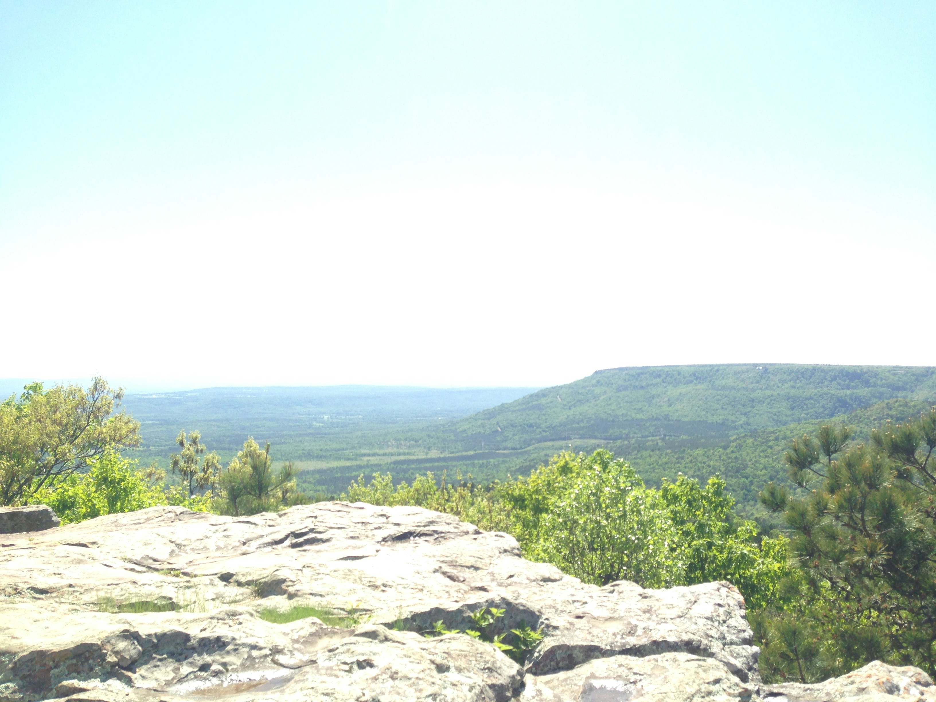 Free Unsplash photo from Sam  Adkins