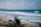 Happy surfer catching a wave at a quiet beach with tropical scenery