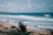 Happy surfer catching a wave at a quiet beach with tropical scenery