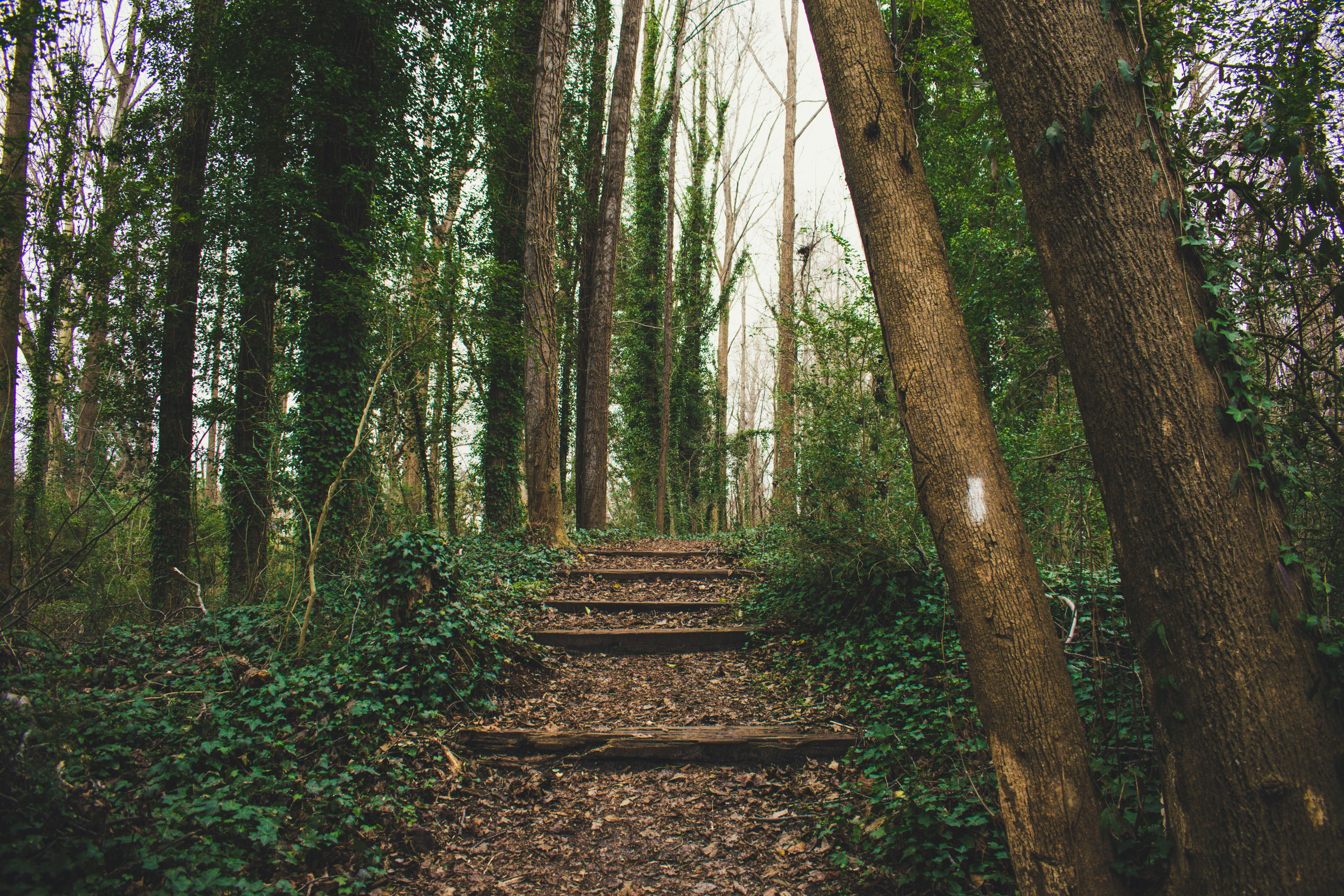 Free Unsplash photo from Kyle Sutton