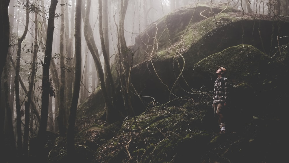 person standing near gray rock surrounded with trees