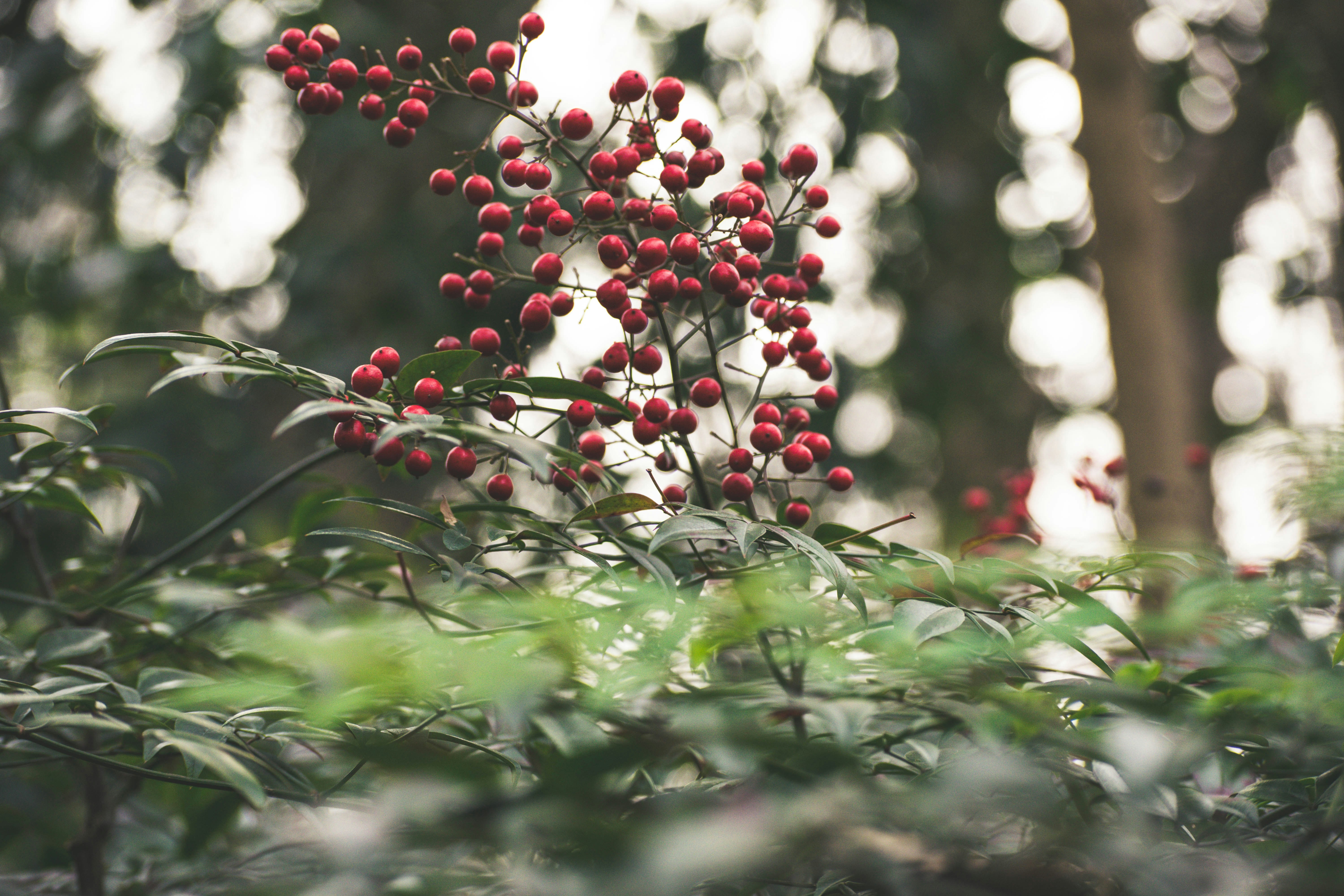 Free Unsplash photo from Kyle Sutton