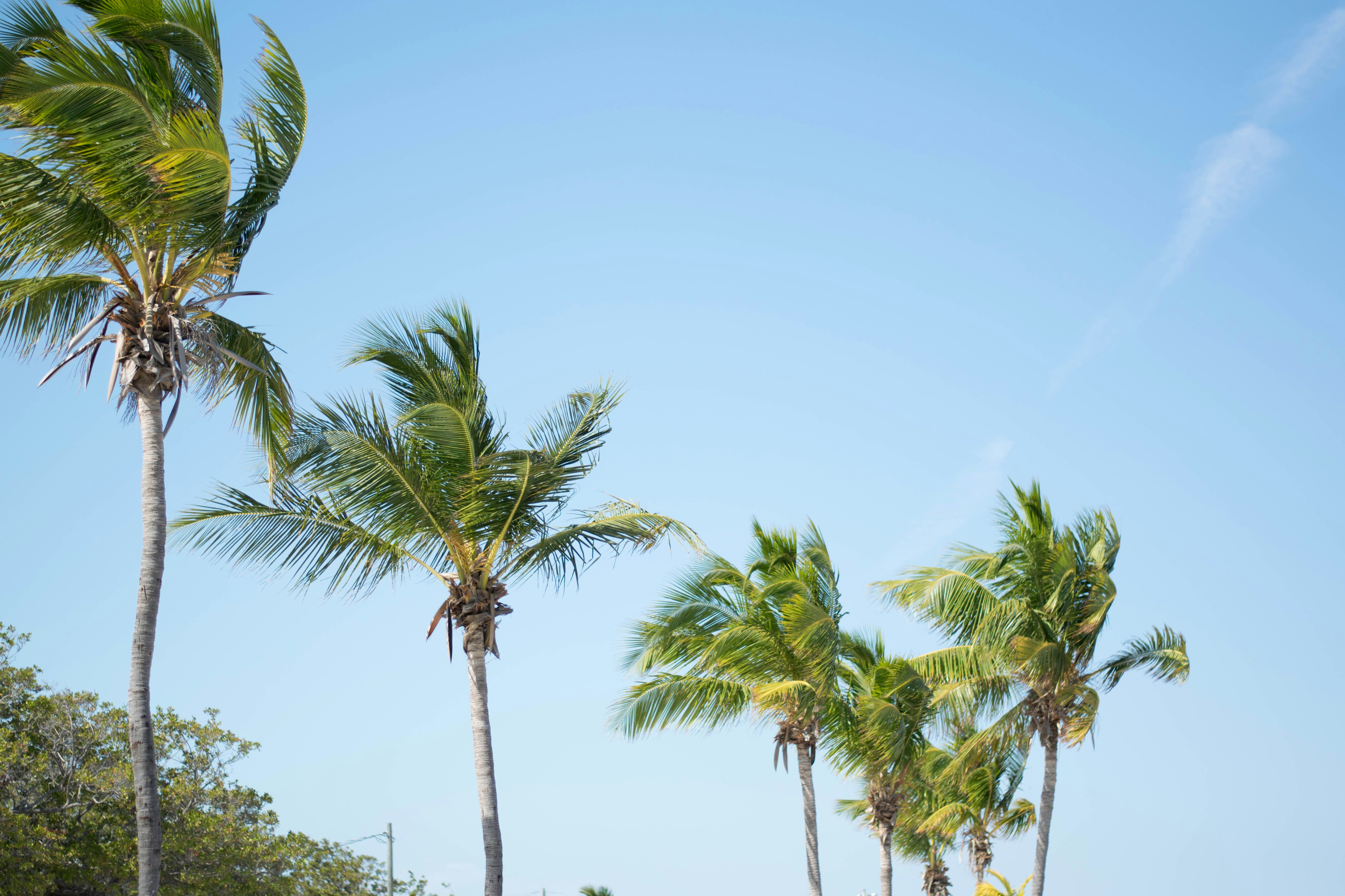 Free Unsplash photo from Kyle Sutton