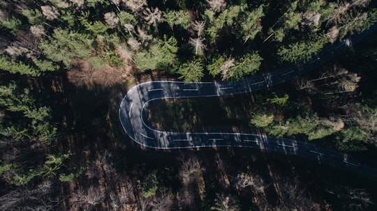 aerial view photography of gray concrete road during daytime in Forchtenstein Austria