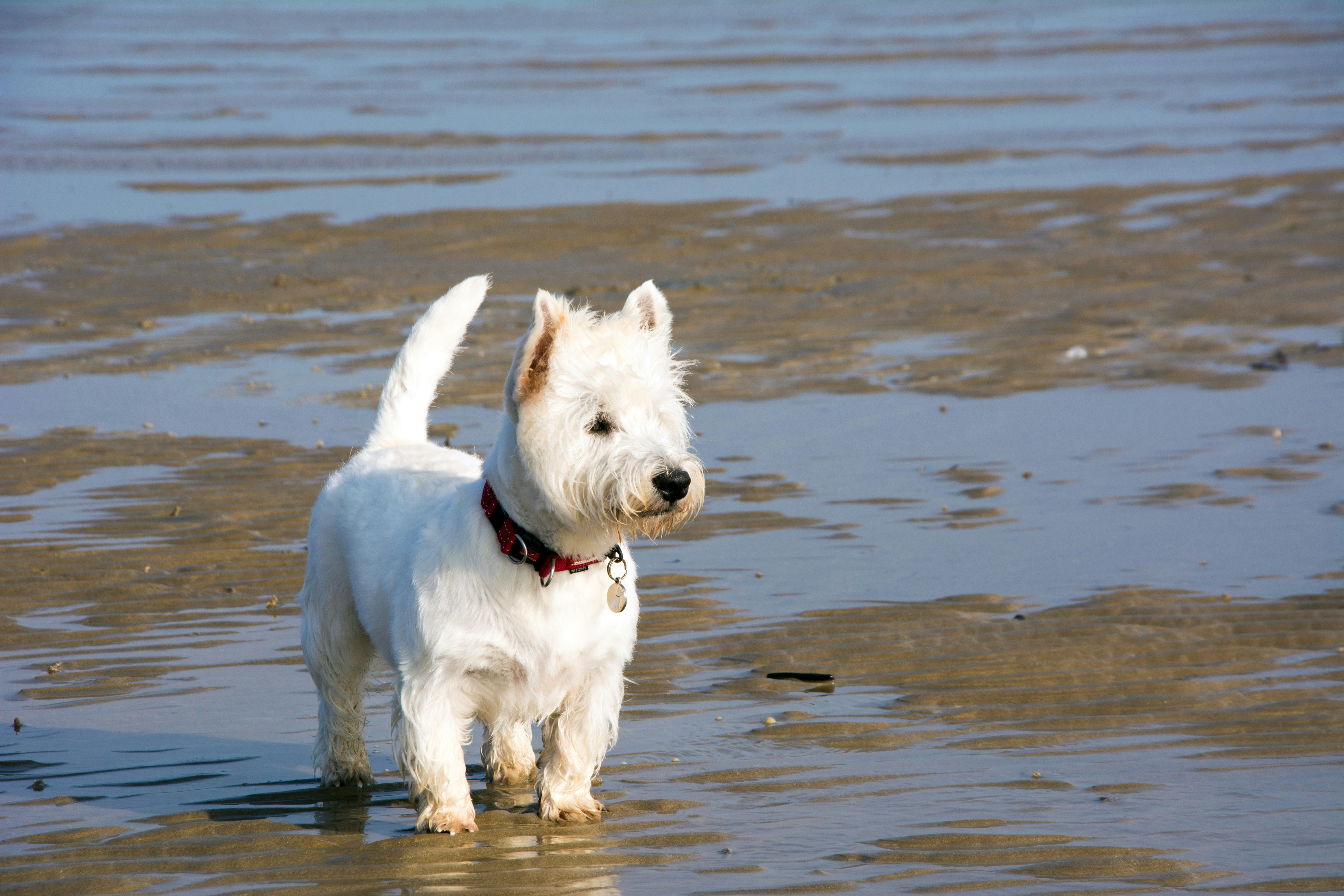 Free Unsplash photo from Graeme Manning