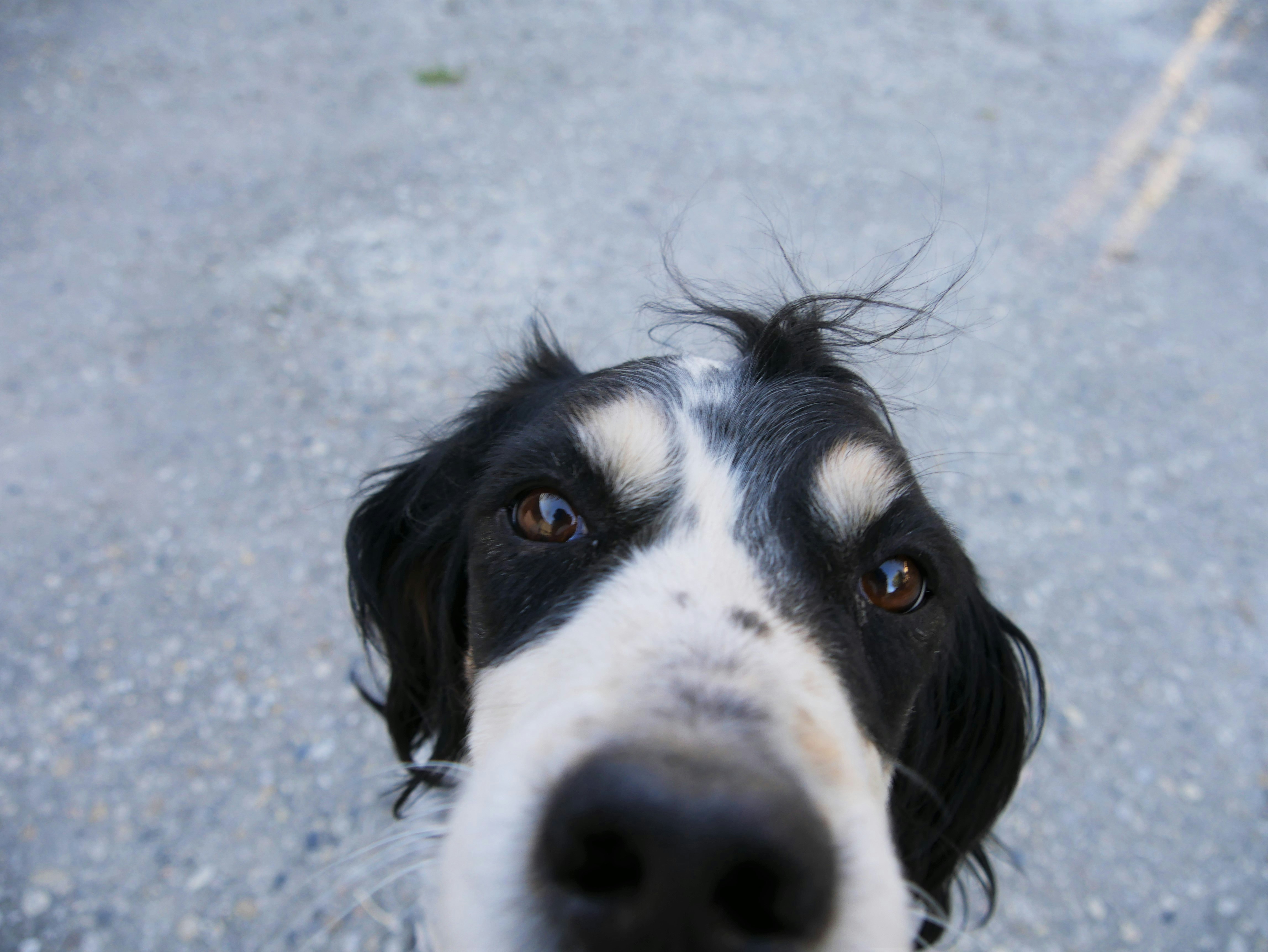 Free Unsplash photo from Wenceslas Lejeune