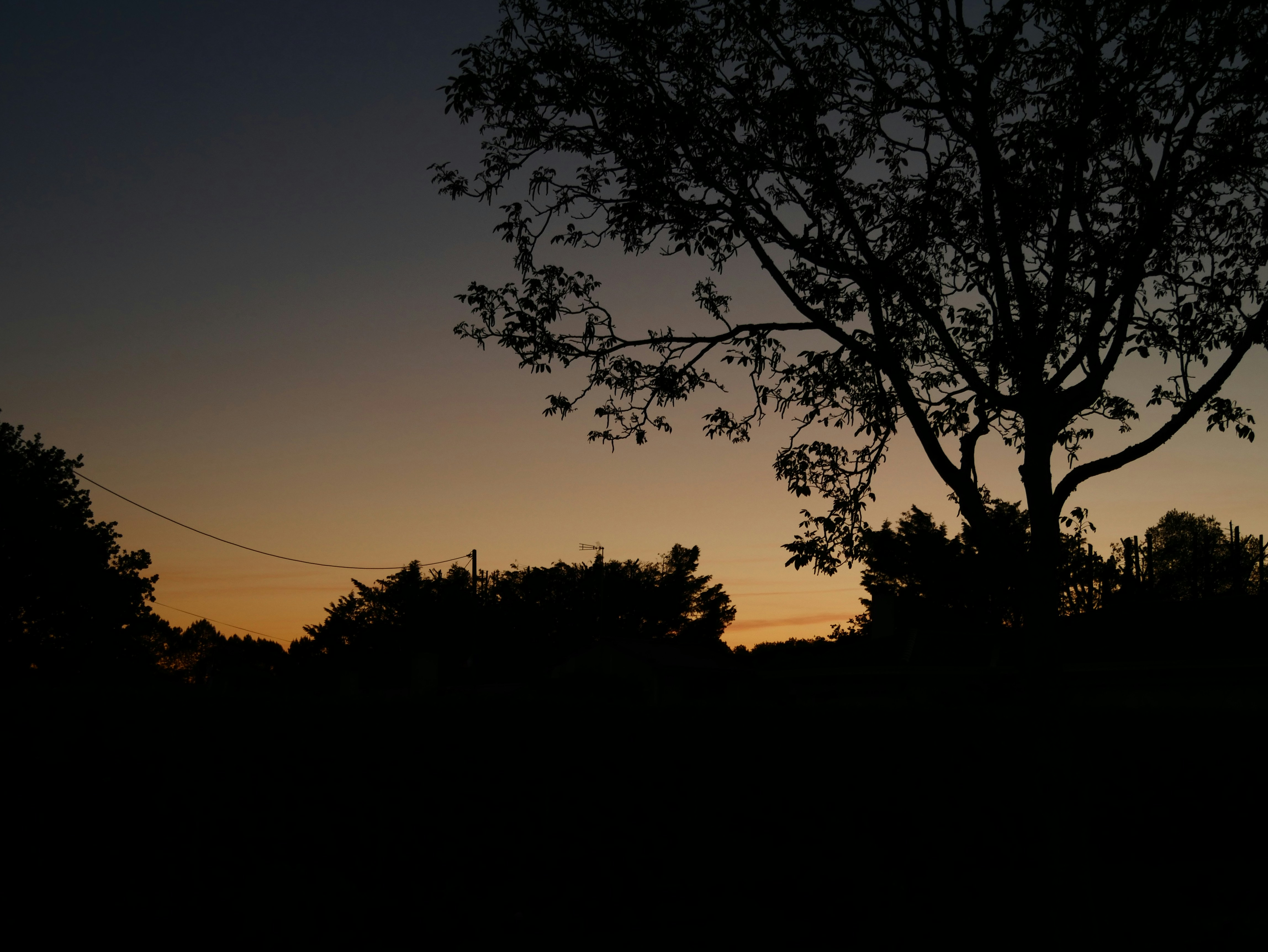 Free Unsplash photo from Wenceslas Lejeune