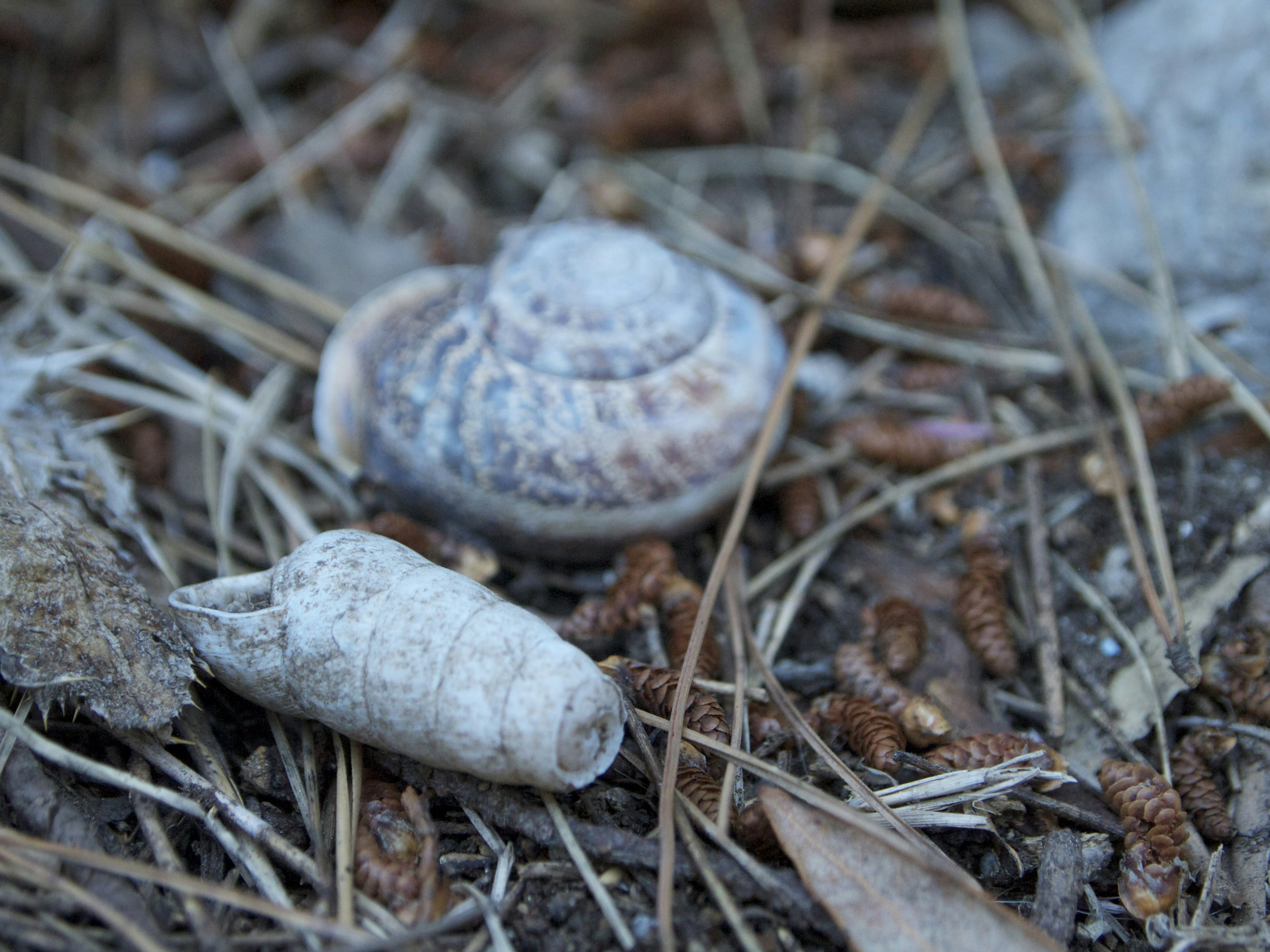 Free Unsplash photo from Alexander Klarmann