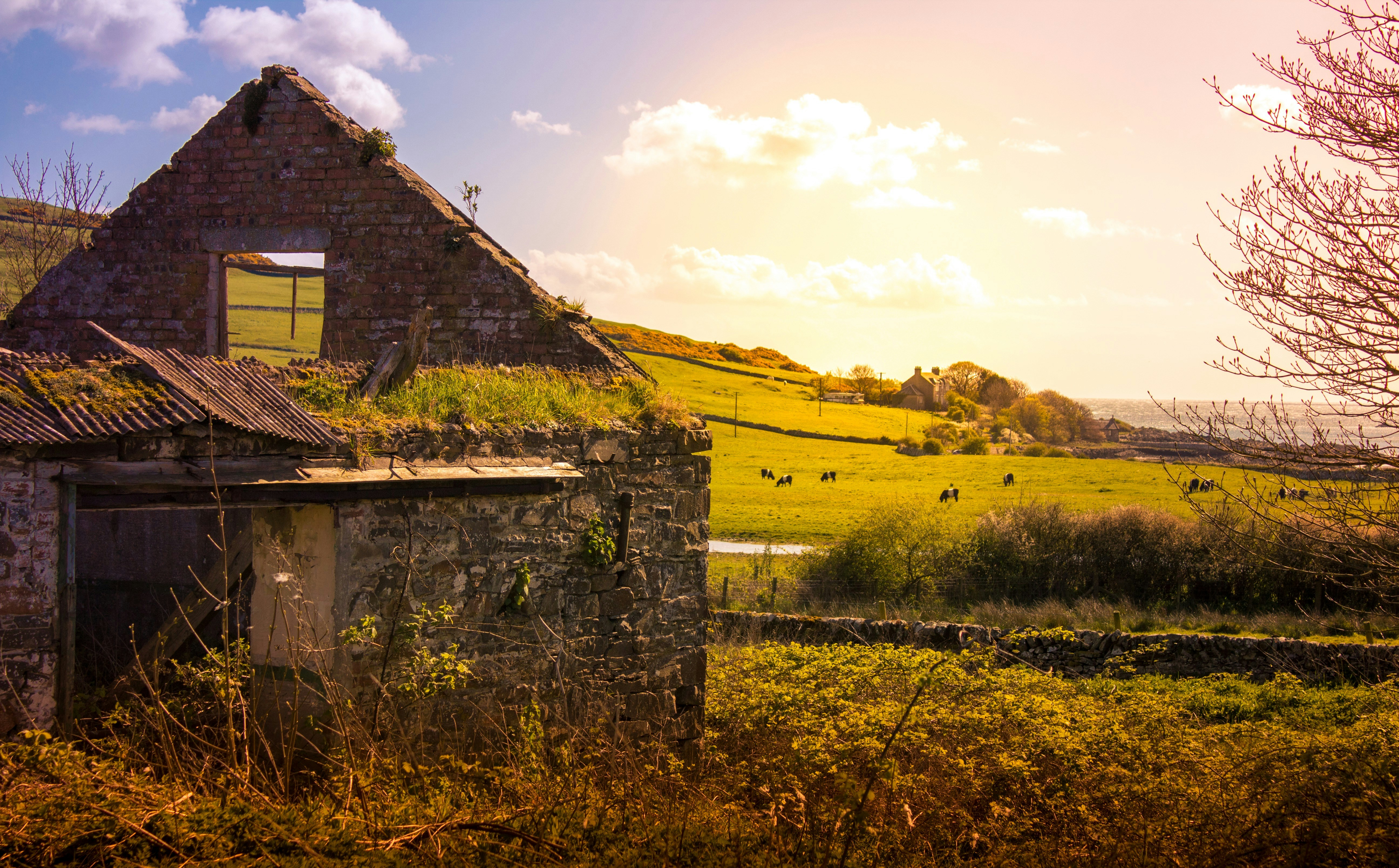 Free Unsplash photo from Dean Ward