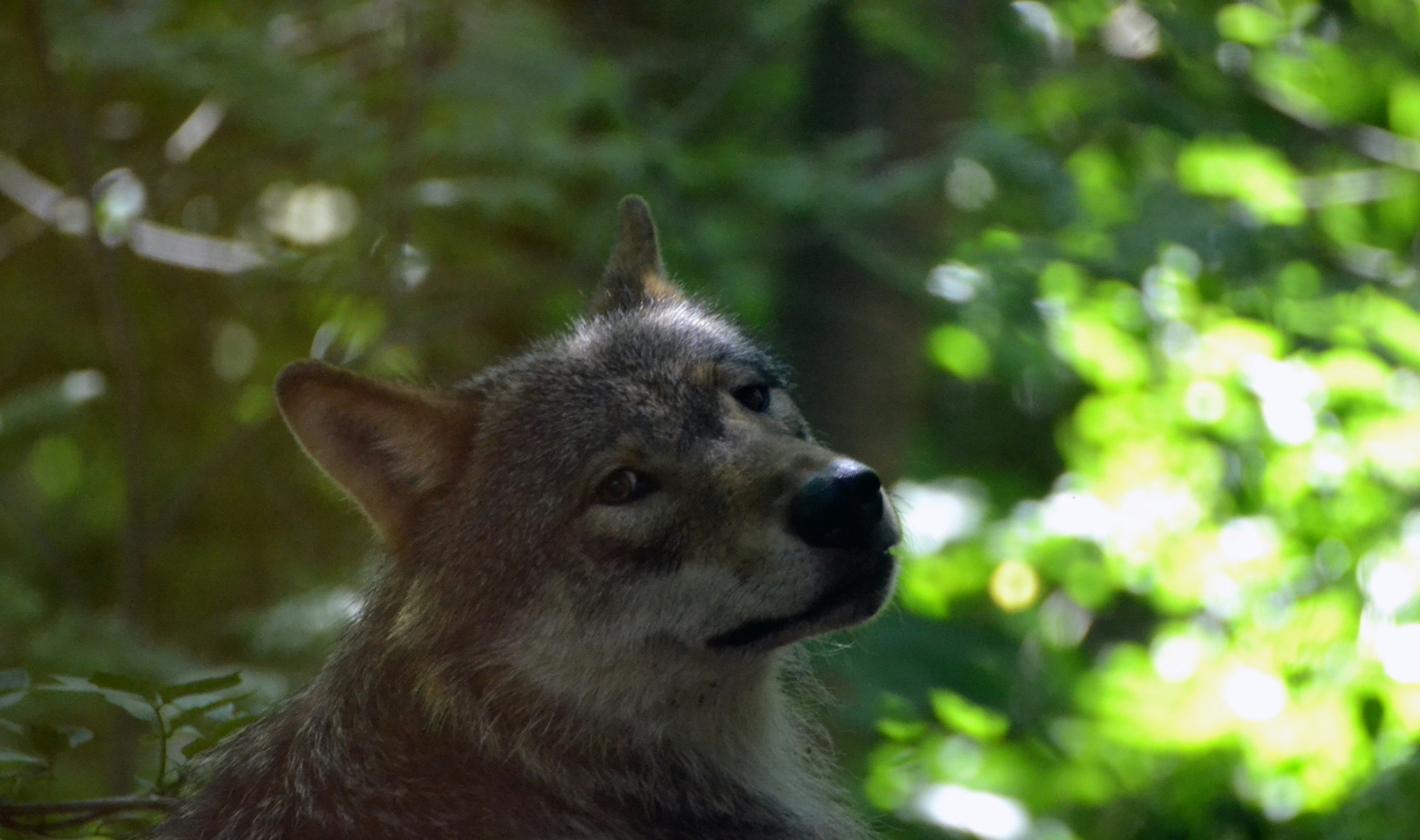 Free Unsplash photo from Carolina Nymark