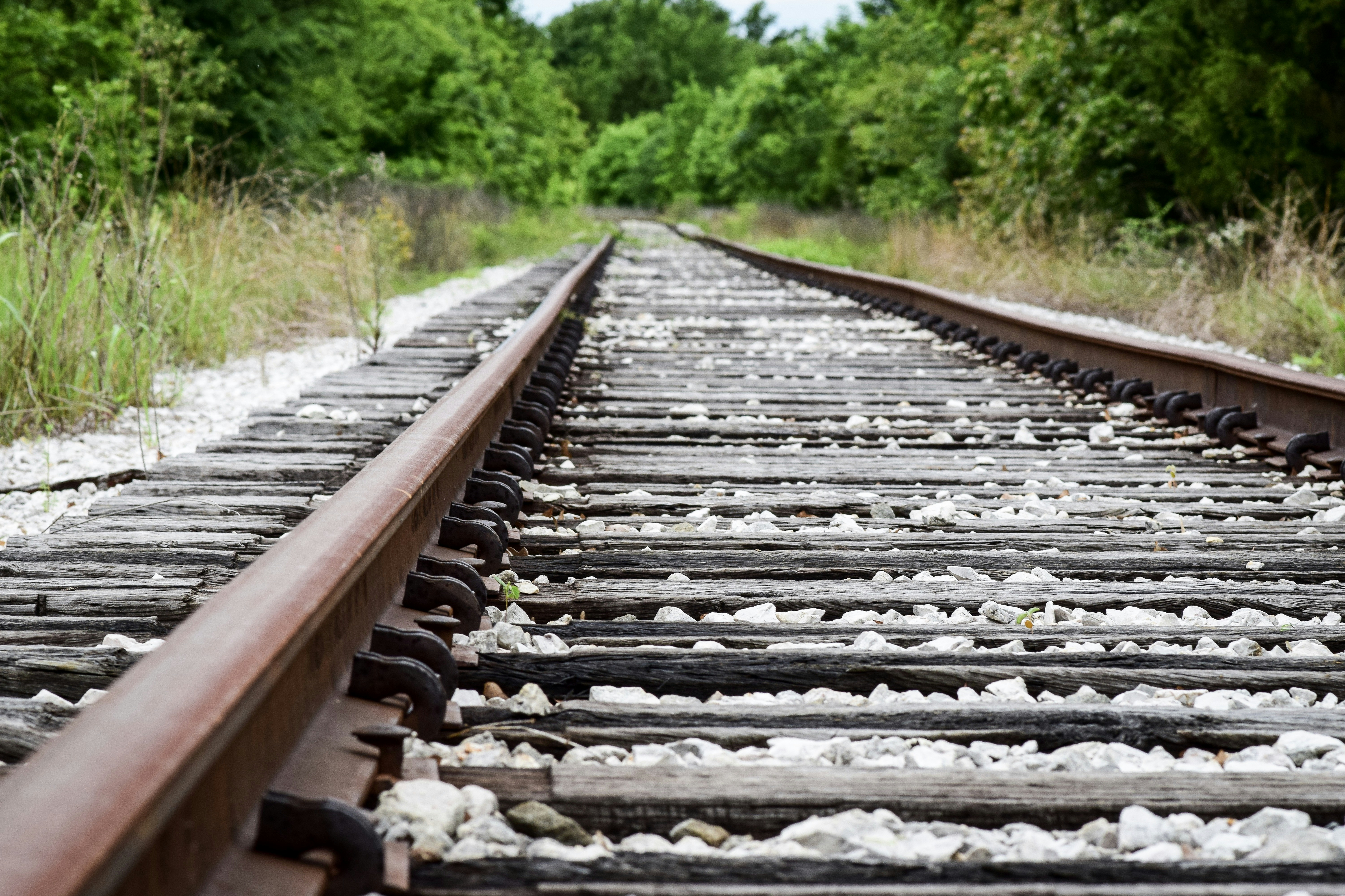 Free Unsplash photo from Multa Media