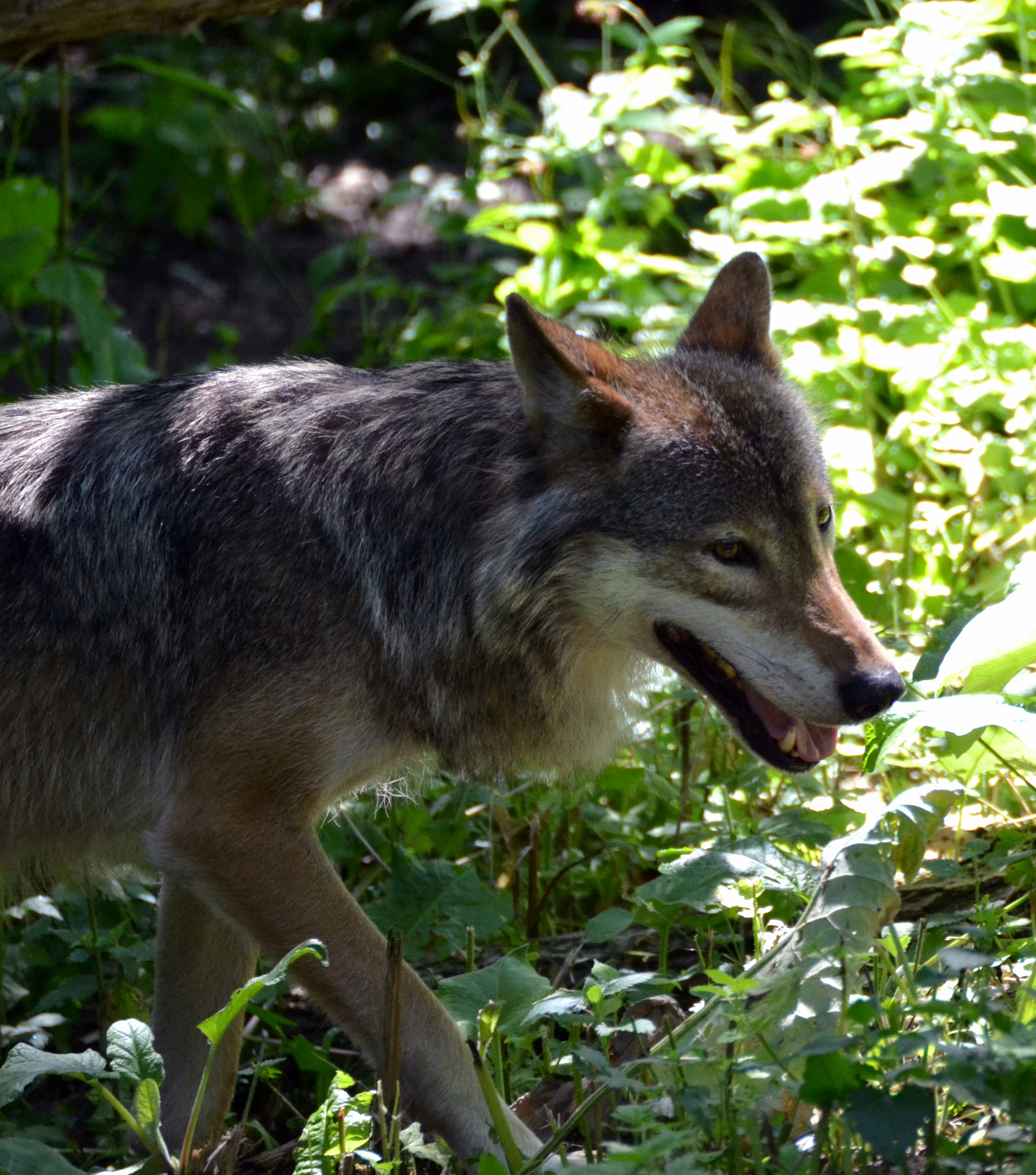 Free Unsplash photo from Carolina Nymark