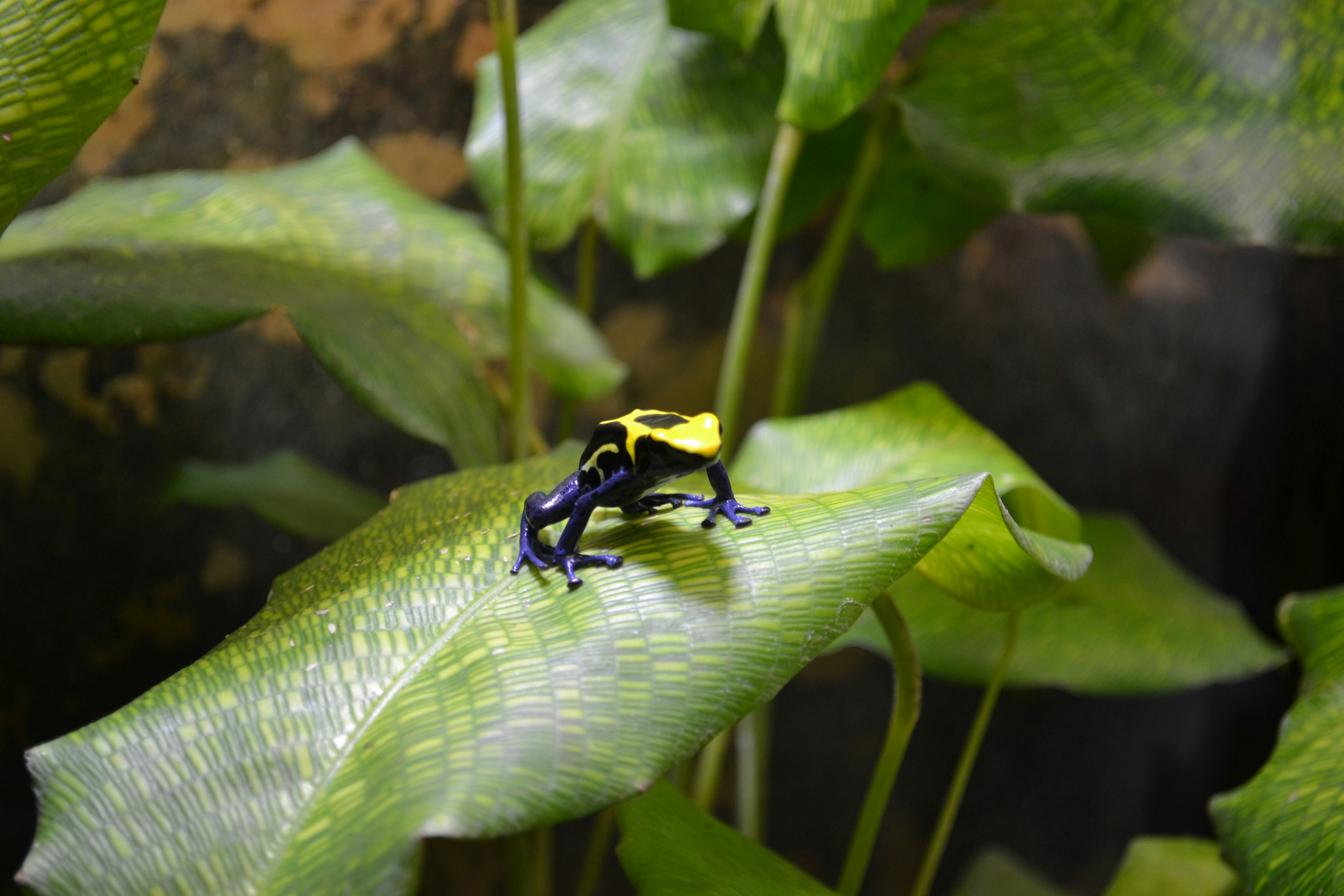 Free Unsplash photo from Carolina Nymark