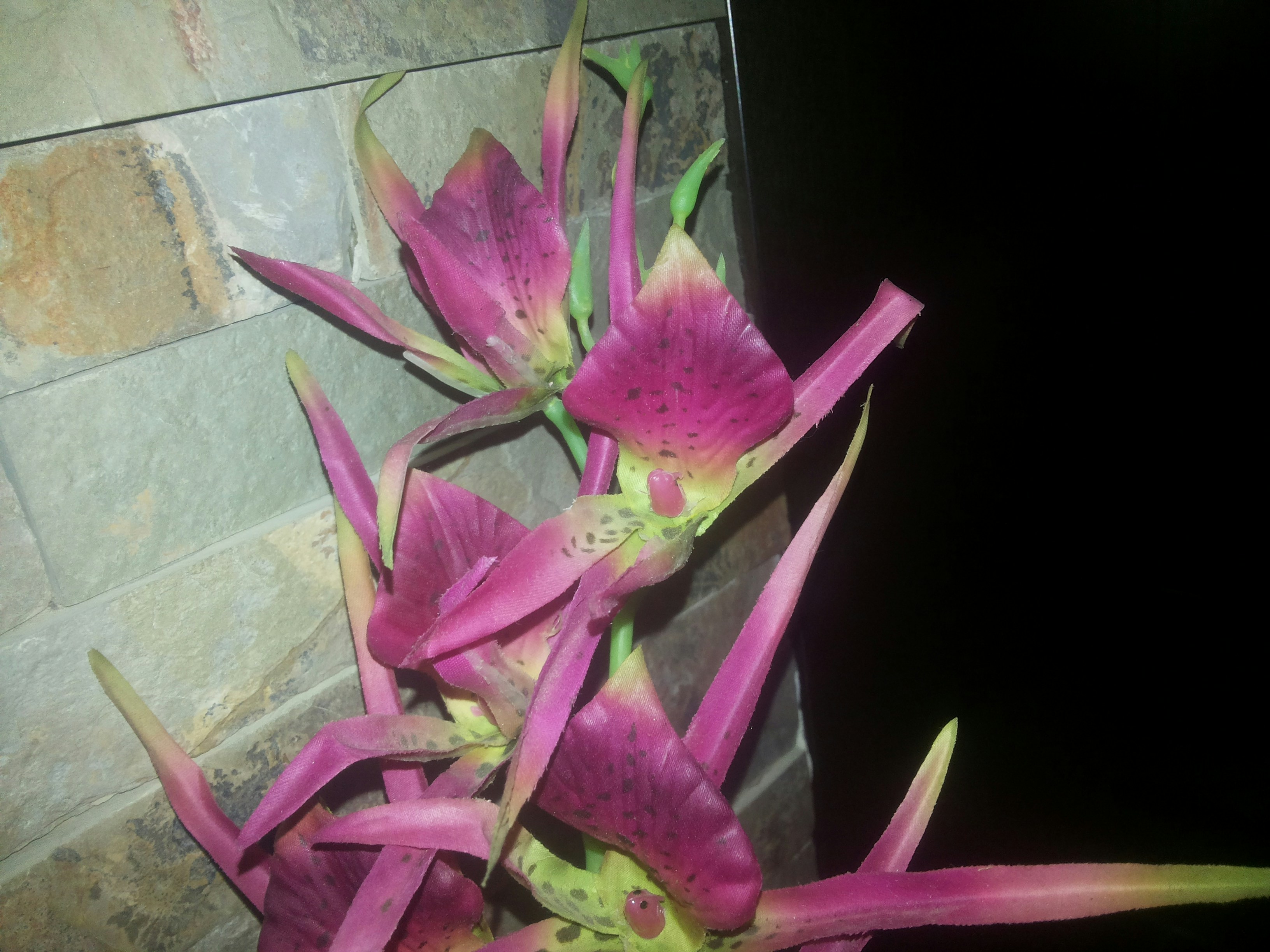 Free Unsplash photo from samer natsheh