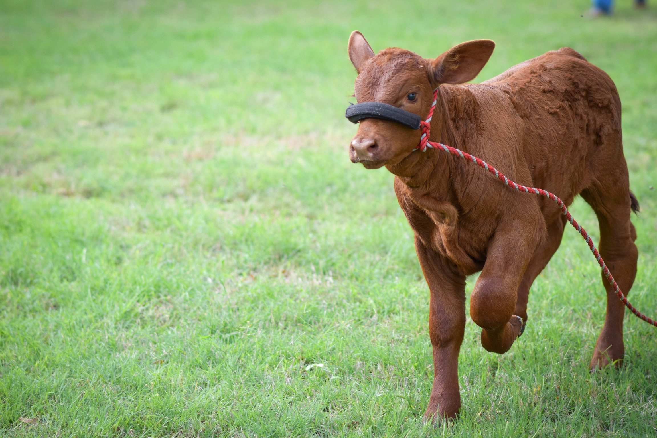 Free Unsplash photo from Multa Media