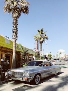 A classic silver car is parked on a sunny street lined with tall palm trees. There is a yellow awning in front of a shop or cafe, and a sign reading 'Liquor' can be seen in the background. The atmosphere is relaxed and evokes a vintage, Californian vibe.