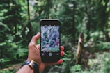 Hands holding digital devices with a backdrop of a green forest, symbolizing digital cleanup.