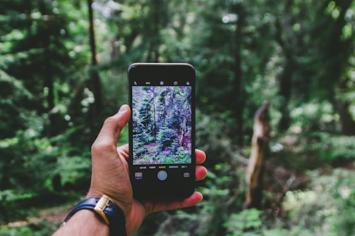 A hand holding a smartphone that displays a photograph of a lush green forest. In the background, a dense forest filled with tall trees and foliage surrounds the scene, creating a vivid and natural setting.