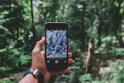 Close-up of hands exchanging a booking confirmation on a smartphone with nature in the background.