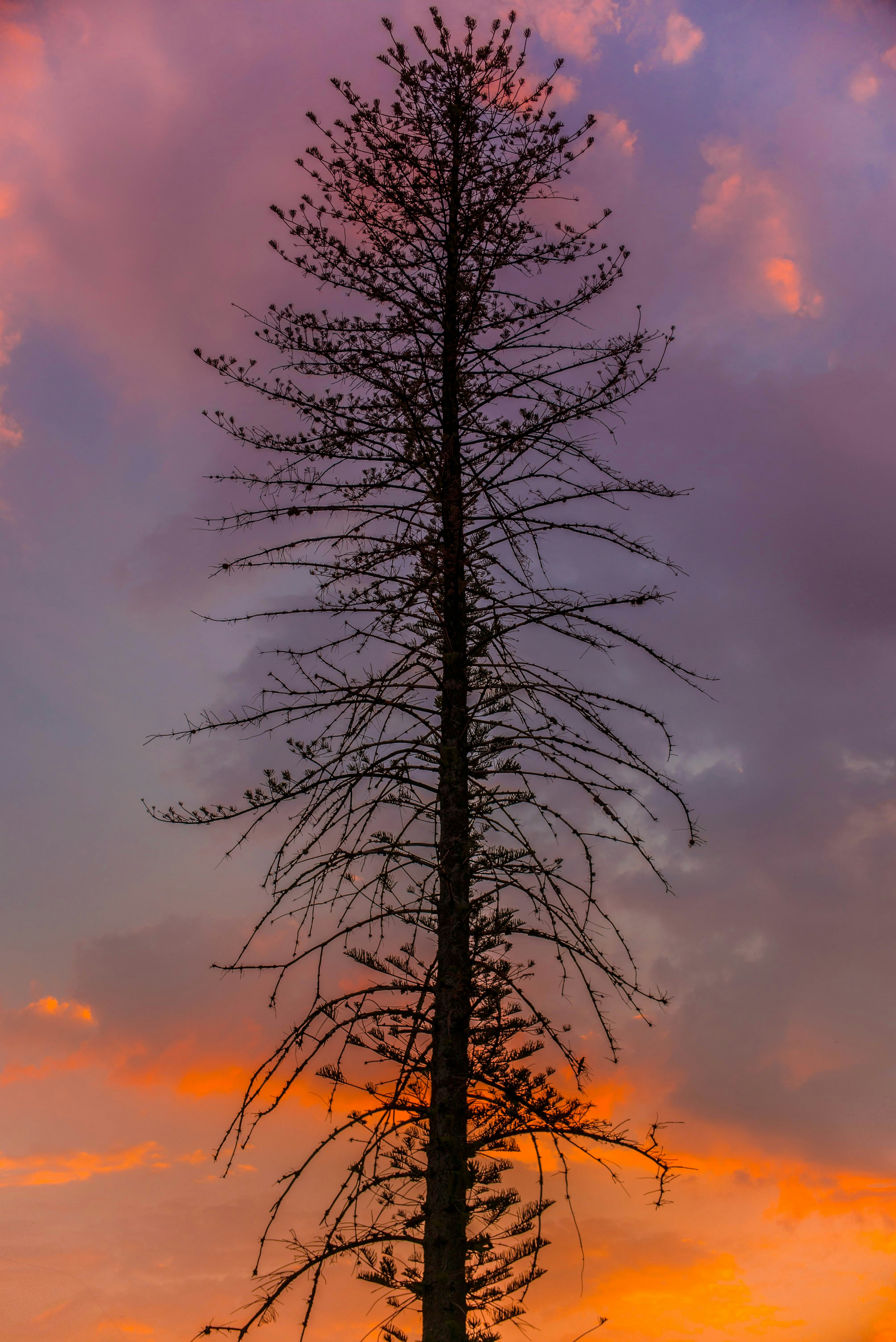 Free Unsplash photo from Cristian Newman