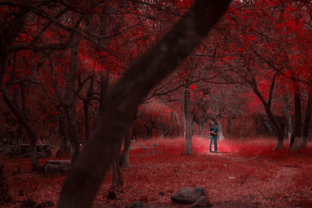 a person standing in the middle of a forest