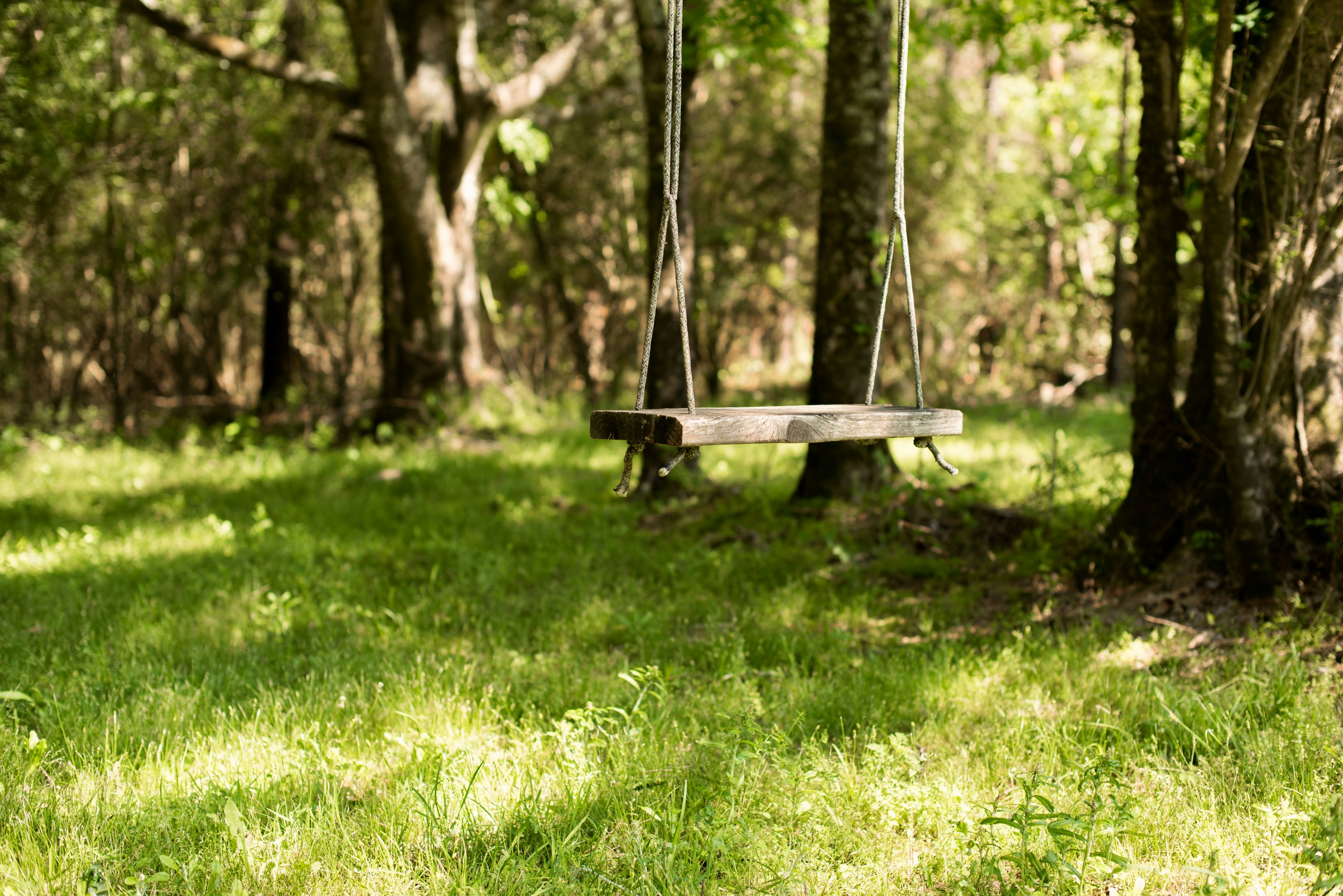 Free Unsplash photo from Madison Watson