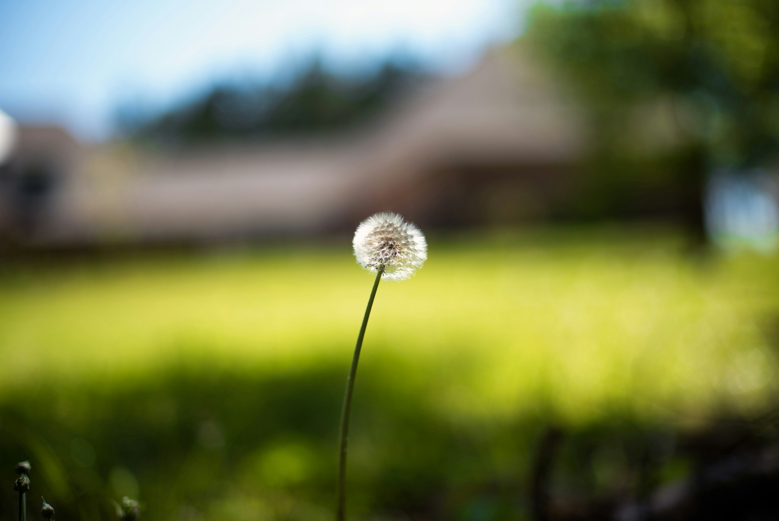 Free Unsplash photo from Madison Watson