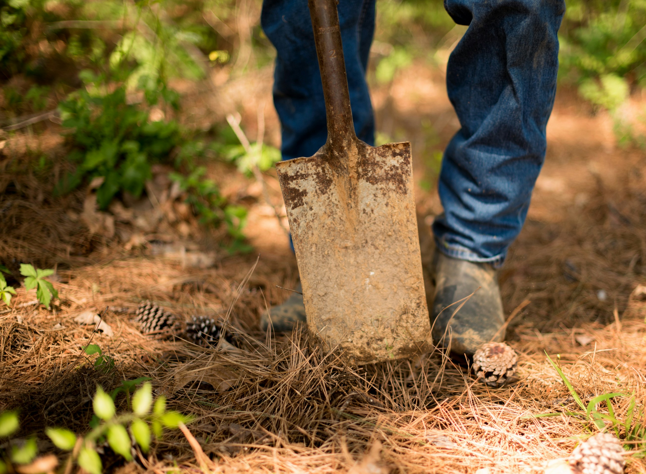 Free Unsplash photo from Madison Watson