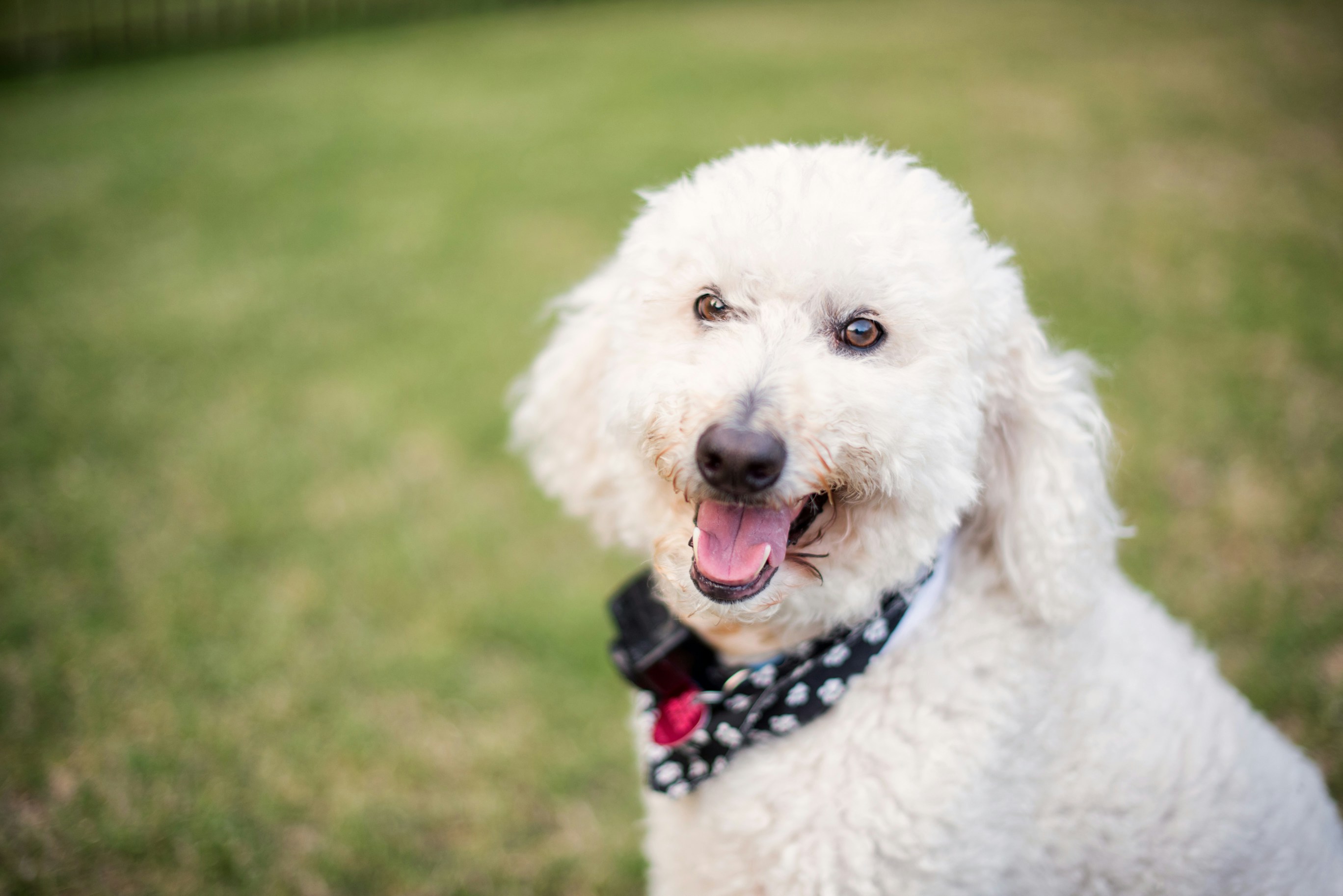 Free Unsplash photo from Madison Watson