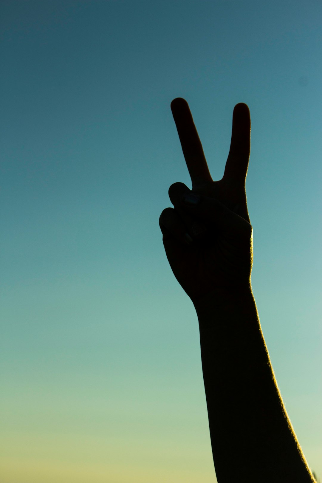 persons left hand doing peace sign