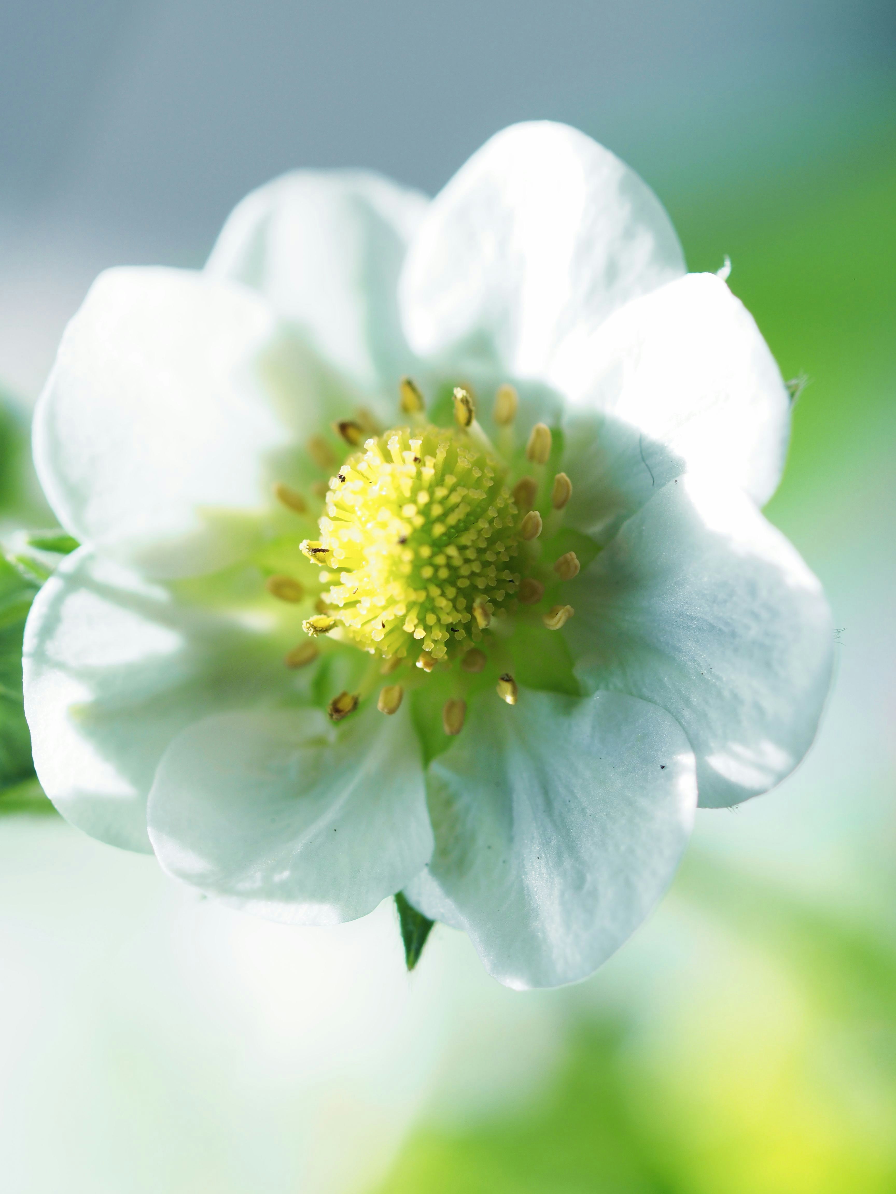 Free Unsplash photo from Arjan de Jong