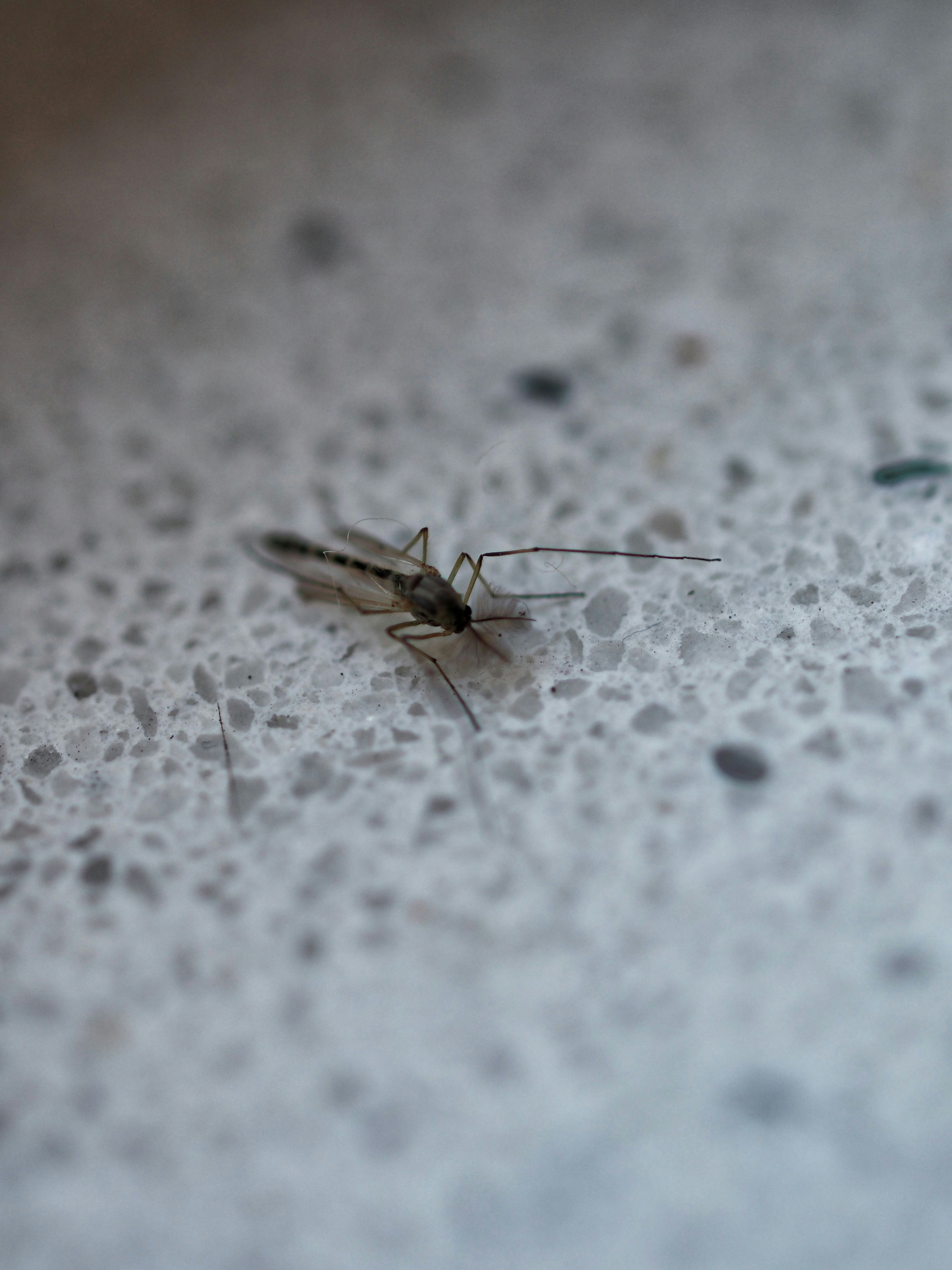 Free Unsplash photo from Arjan de Jong