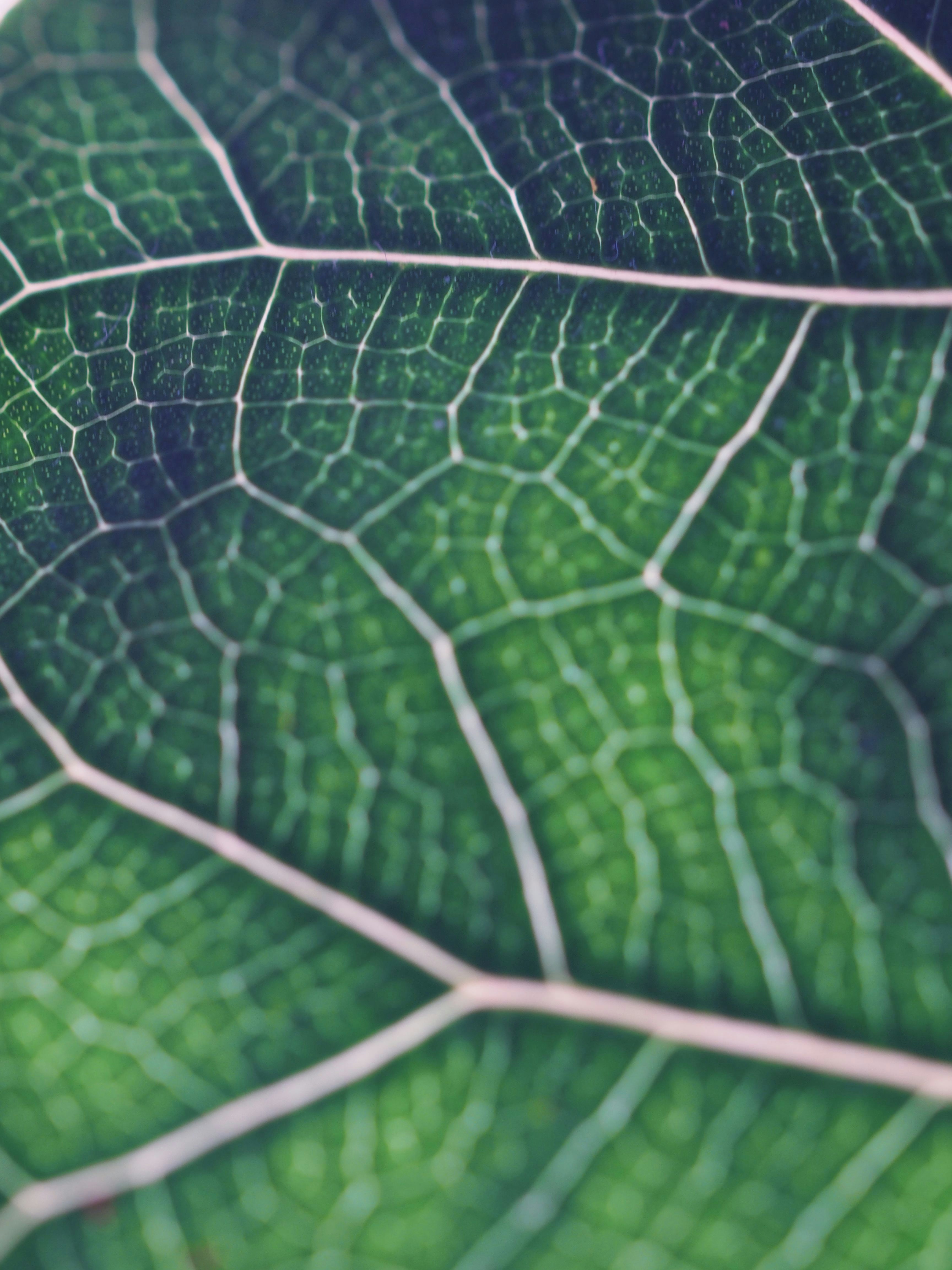 Free Unsplash photo from Arjan de Jong