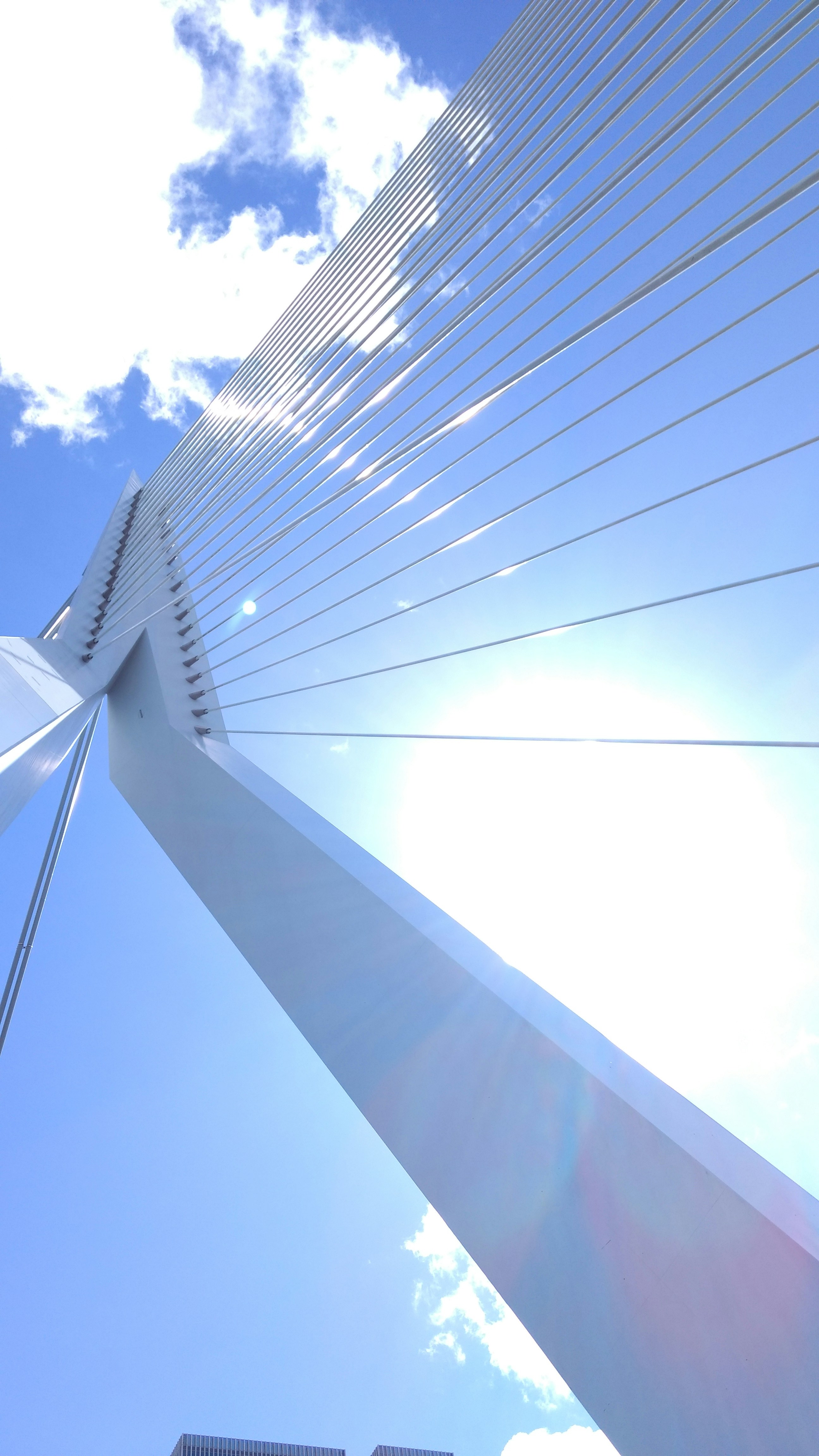 Free Unsplash photo from Rik Koedoot