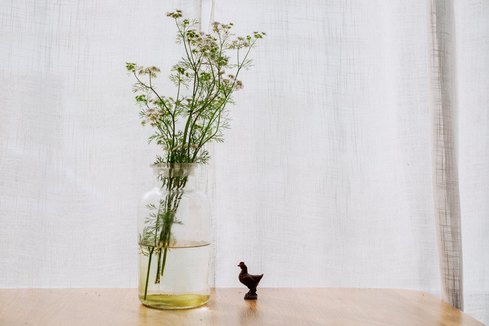 green plant on clear glass vase on brown wooden surface