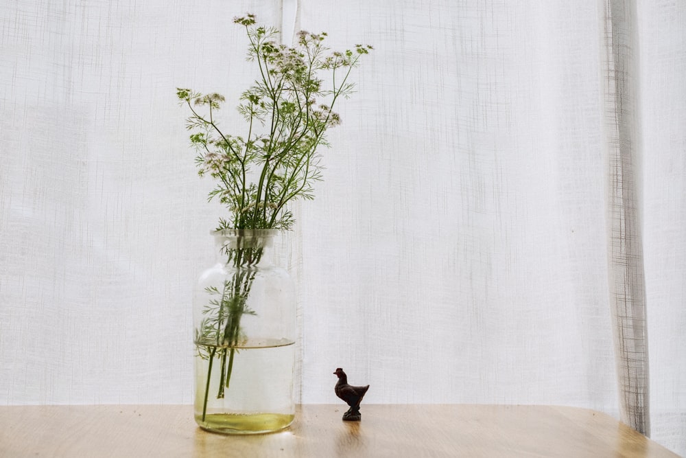 Planta verde en jarrón de vidrio transparente sobre superficie de madera marrón