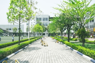 A paved walkway lined with vibrant green trees and surrounded by a manicured hedge. In the distance, a modern building with large windows is visible, flanked by a soccer field where children are playing. Several yellow tricycles are scattered along the pathway, and people can be seen around, engaging in outdoor activities. The scene is bright and well-lit, conveying a lively outdoor environment.