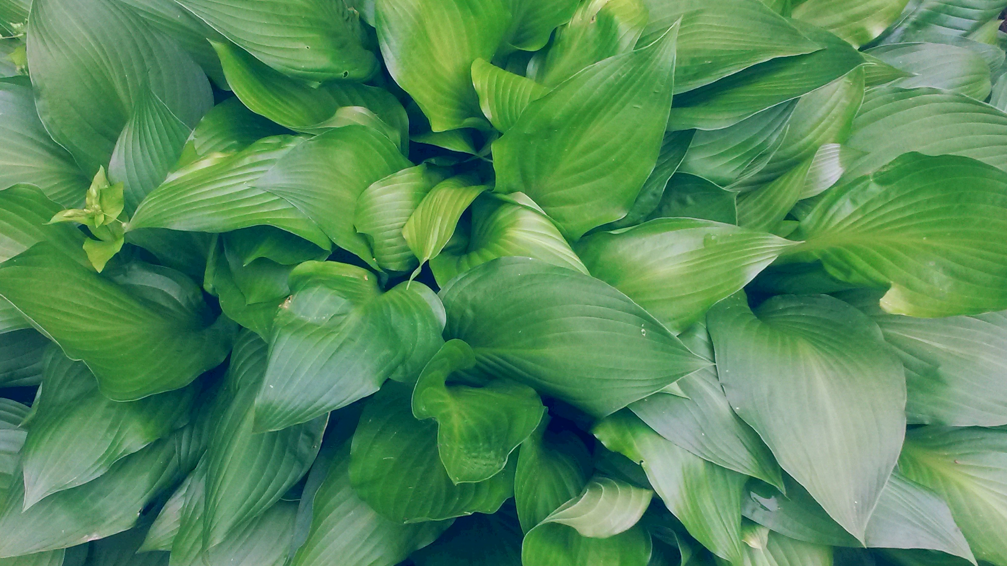 Free Unsplash photo from Katherine Gomez