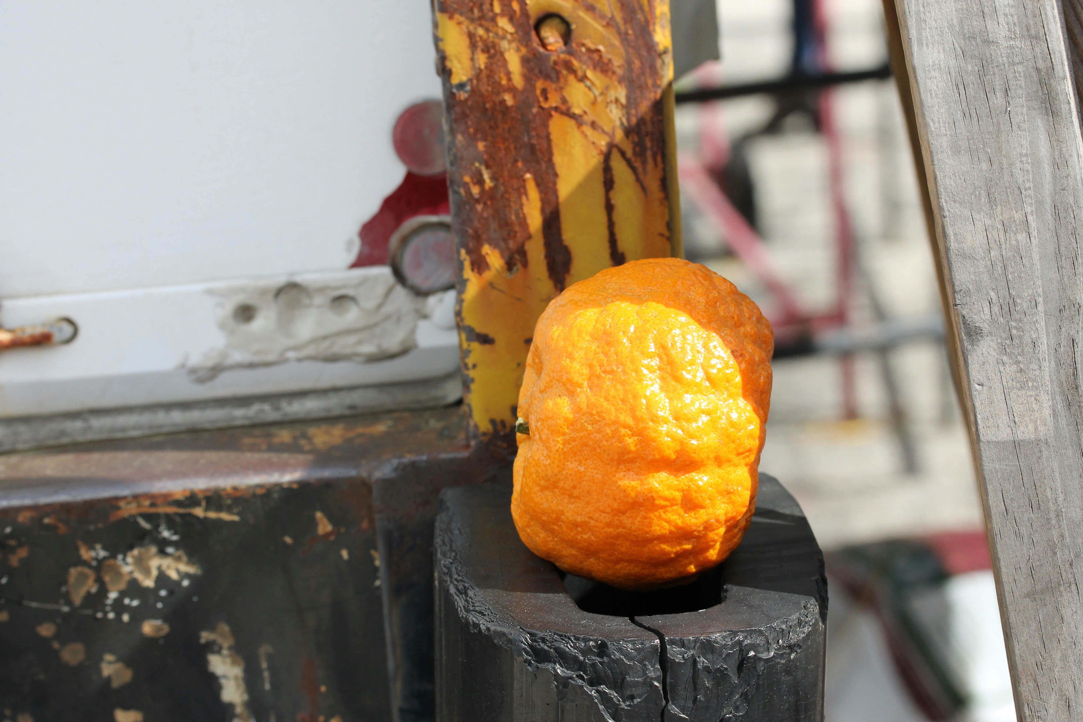 Free Unsplash photo from Dev Menon