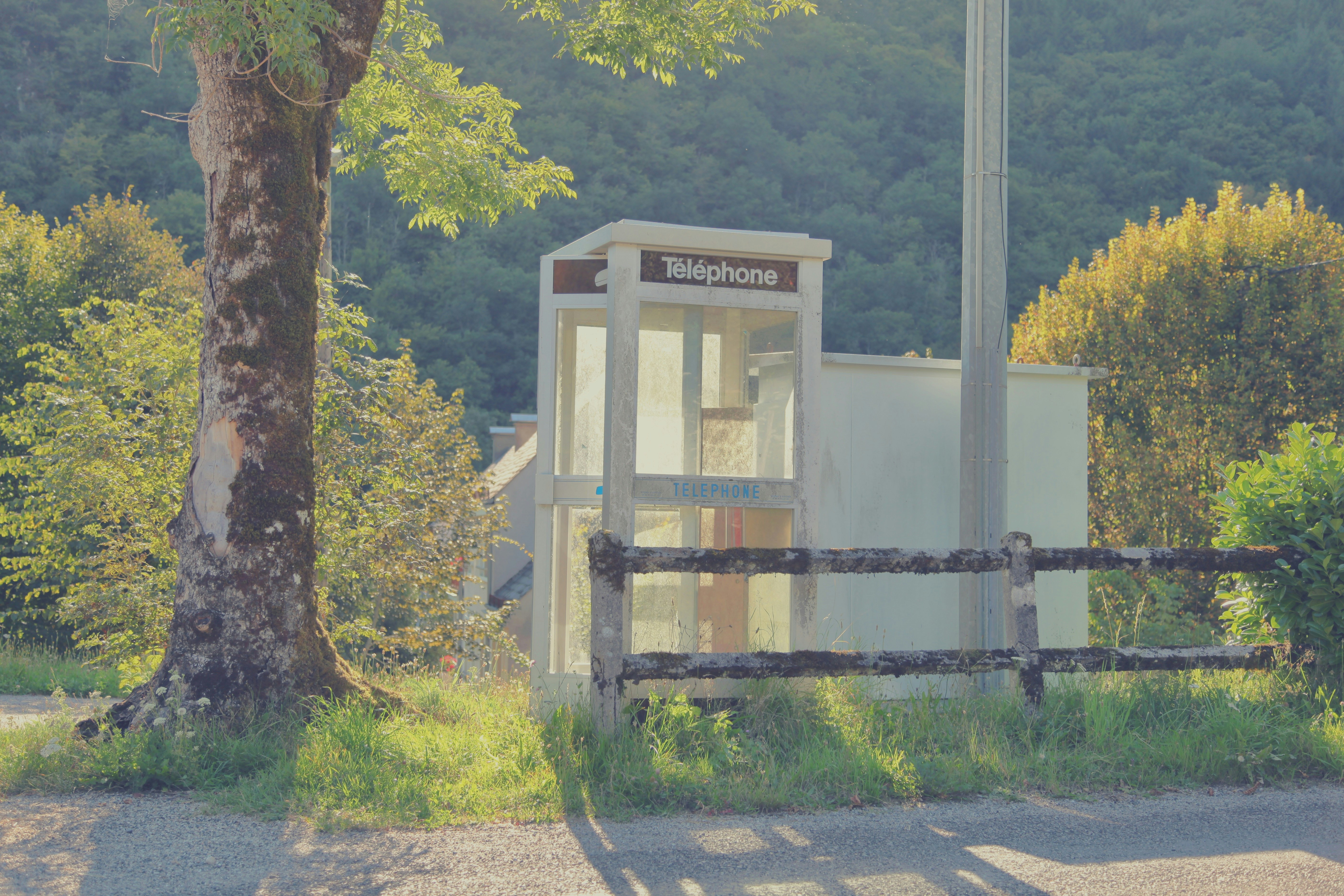 Free Unsplash photo from Alvaro M