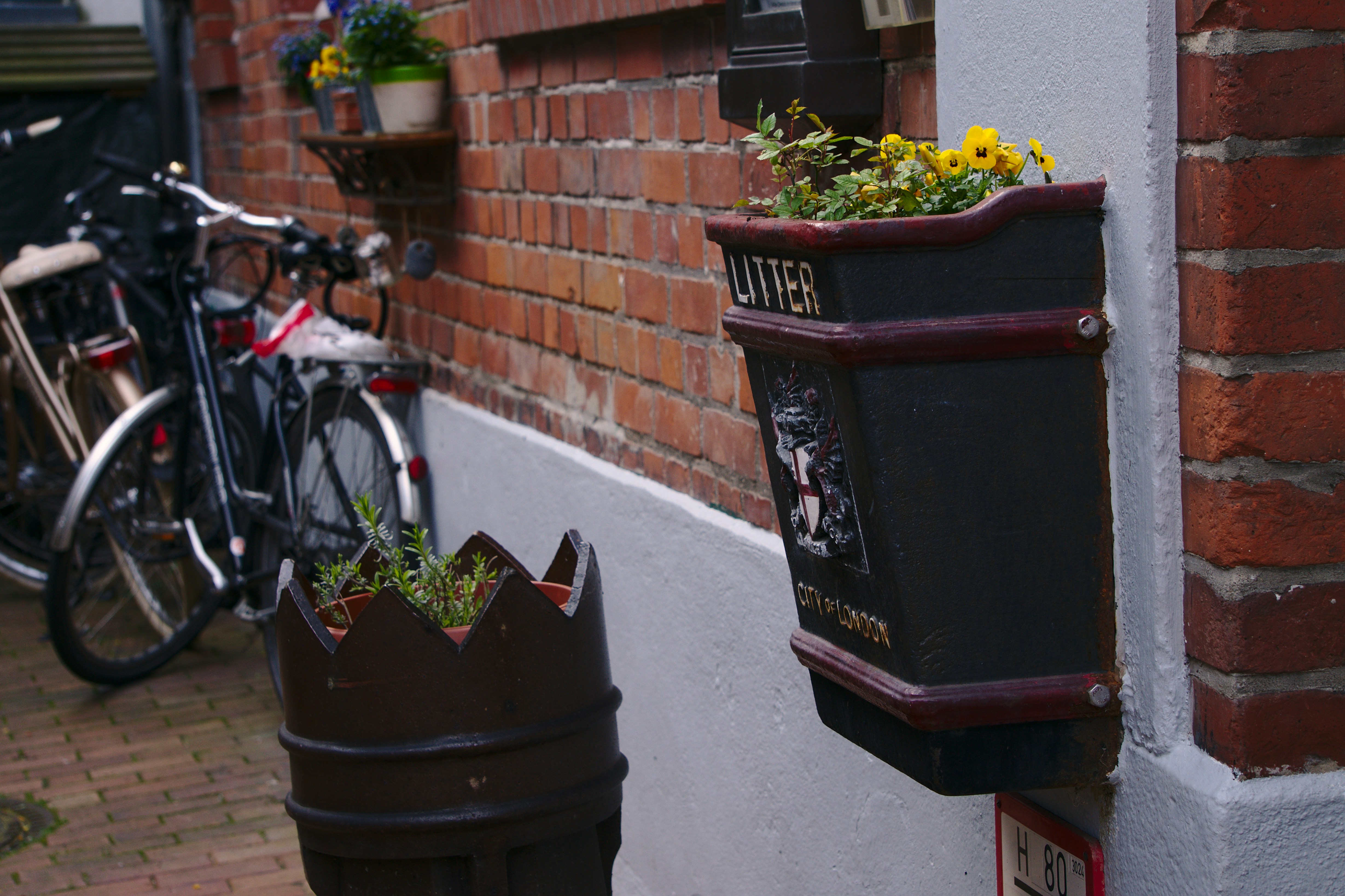 Free Unsplash photo from Moritz Marquardt