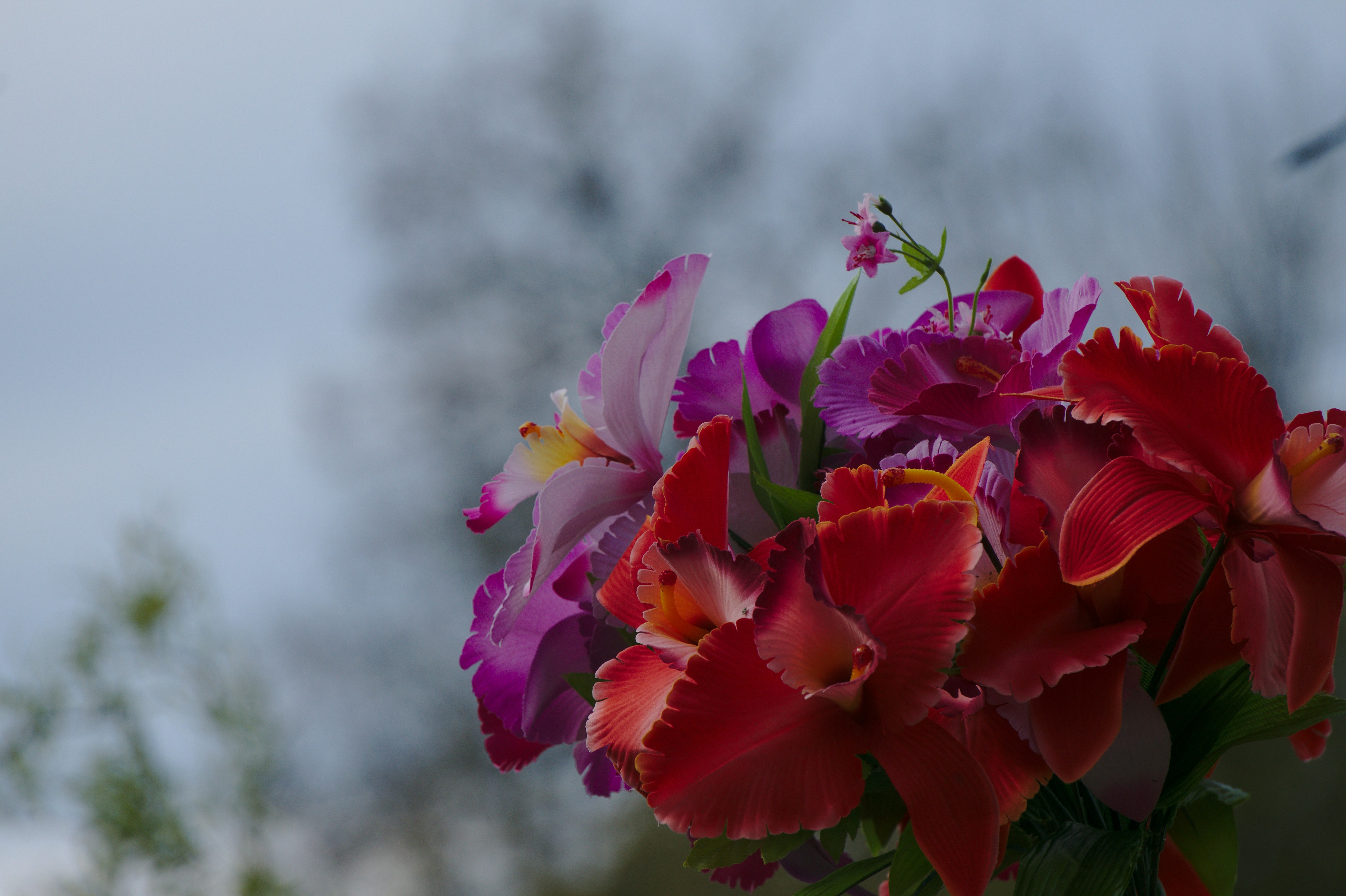 Free Unsplash photo from Moritz Marquardt