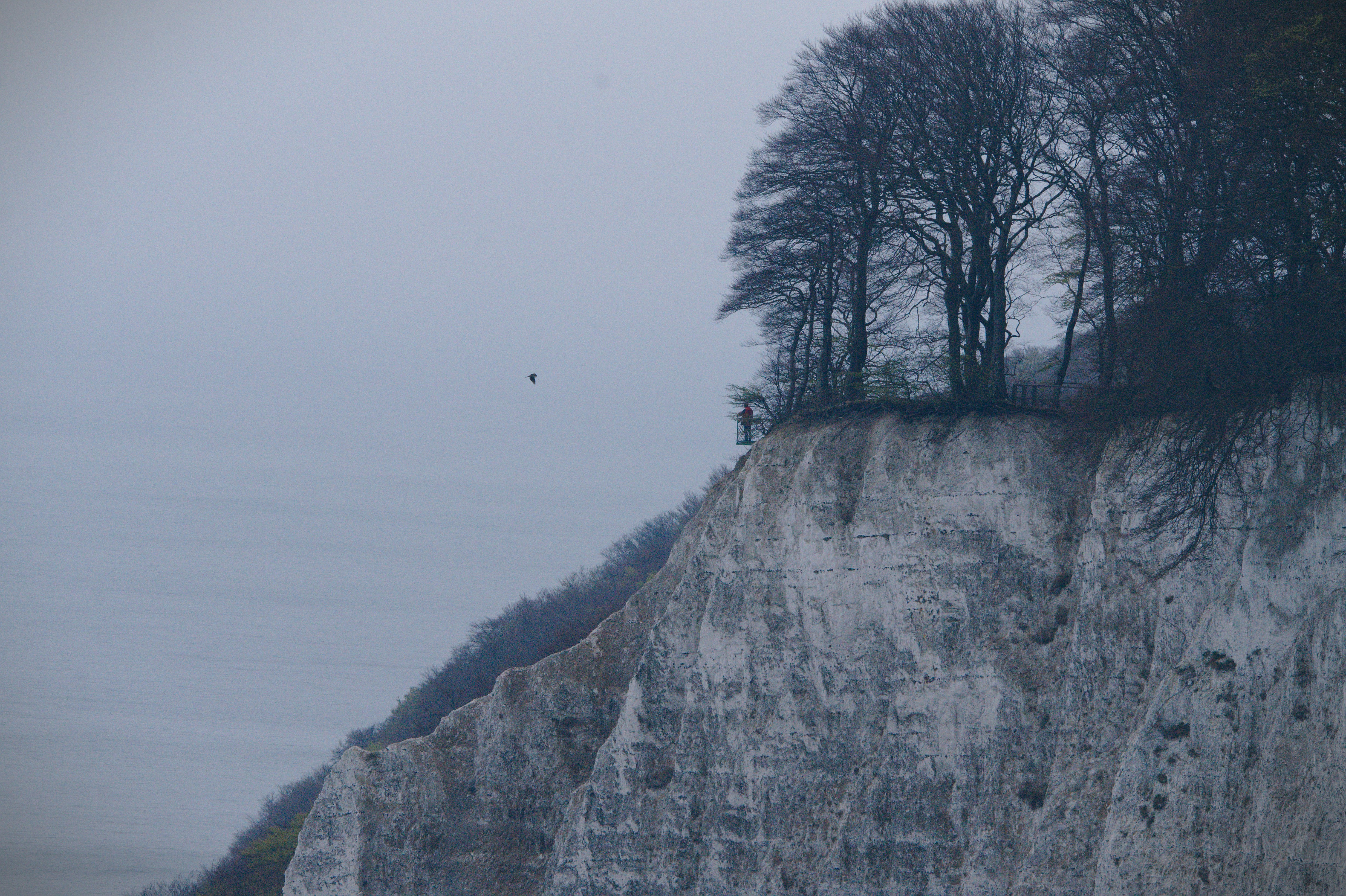 Free Unsplash photo from Moritz Marquardt