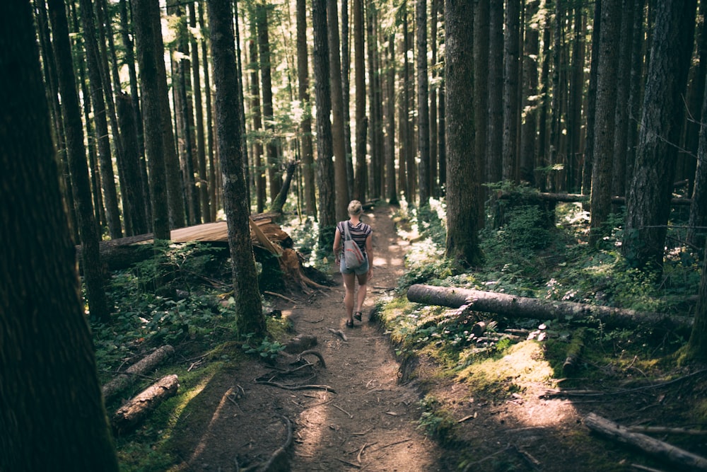 a woman walking through a forest with lots of trees